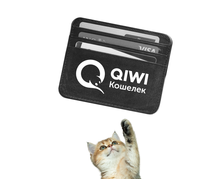 Лендинг и визуал виртуальной карты для QIWI — Интерфейсы на Dprofile