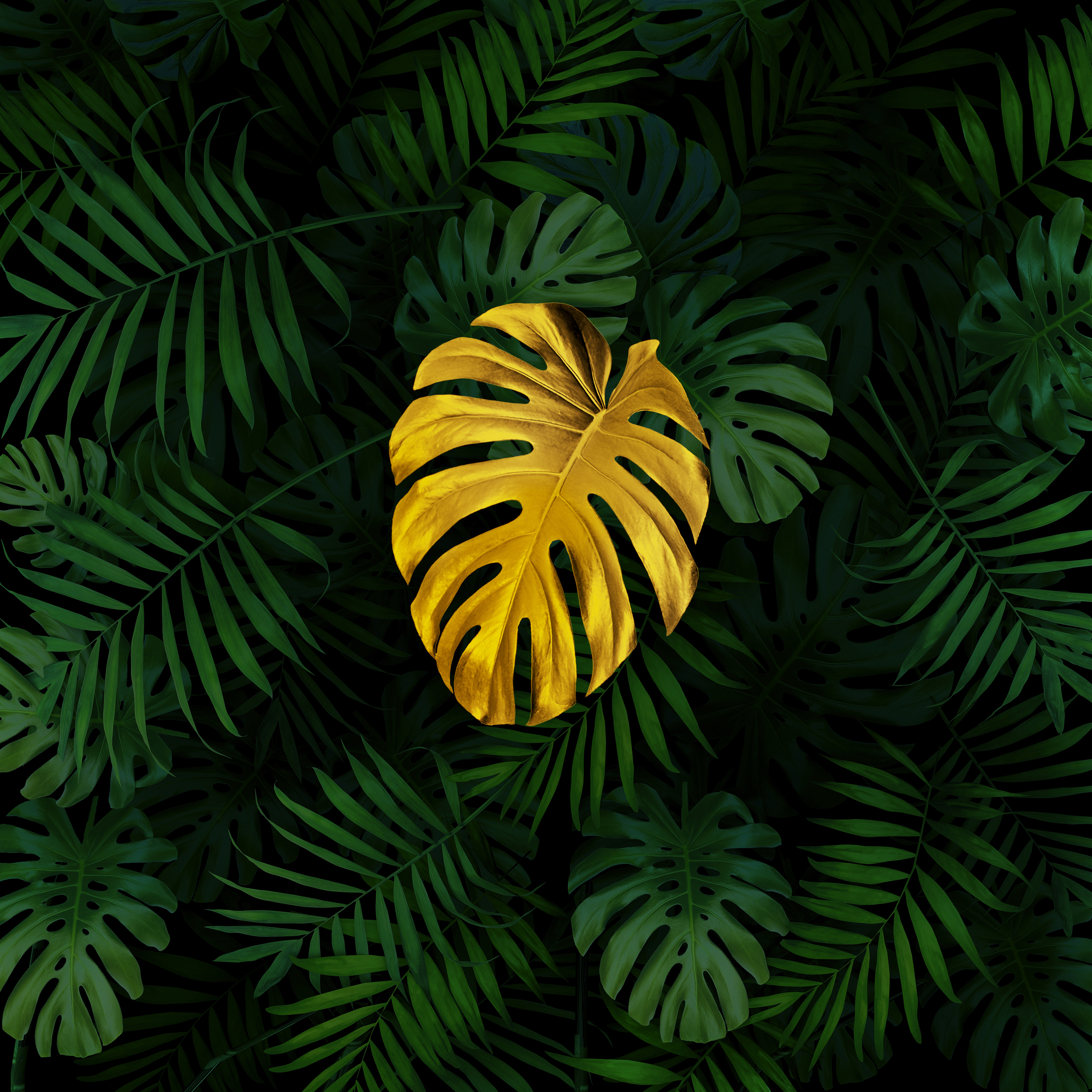 На вес золота — Изображение №2 — Иллюстрация, 3D на Dprofile