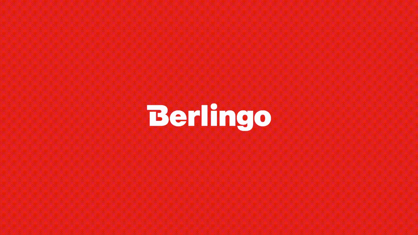 Berlingo — Изображение №2 — Брендинг, Графика, Анимация на Dprofile