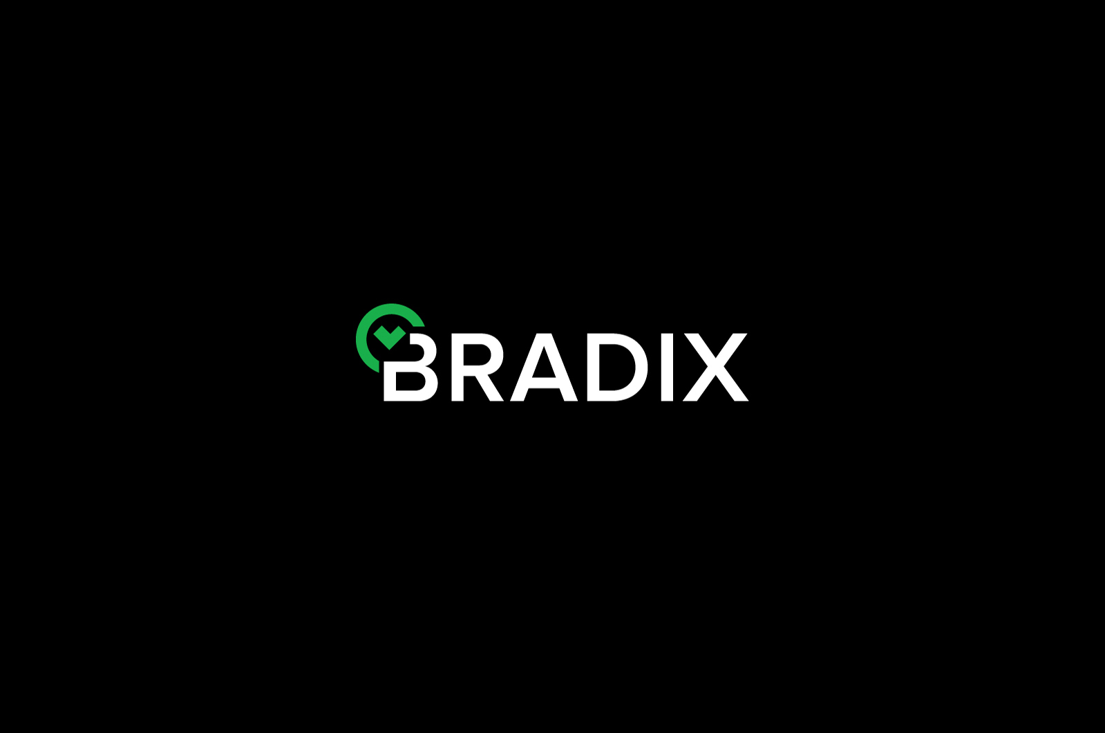 Bradix — Изображение №2 — Брендинг на Dprofile