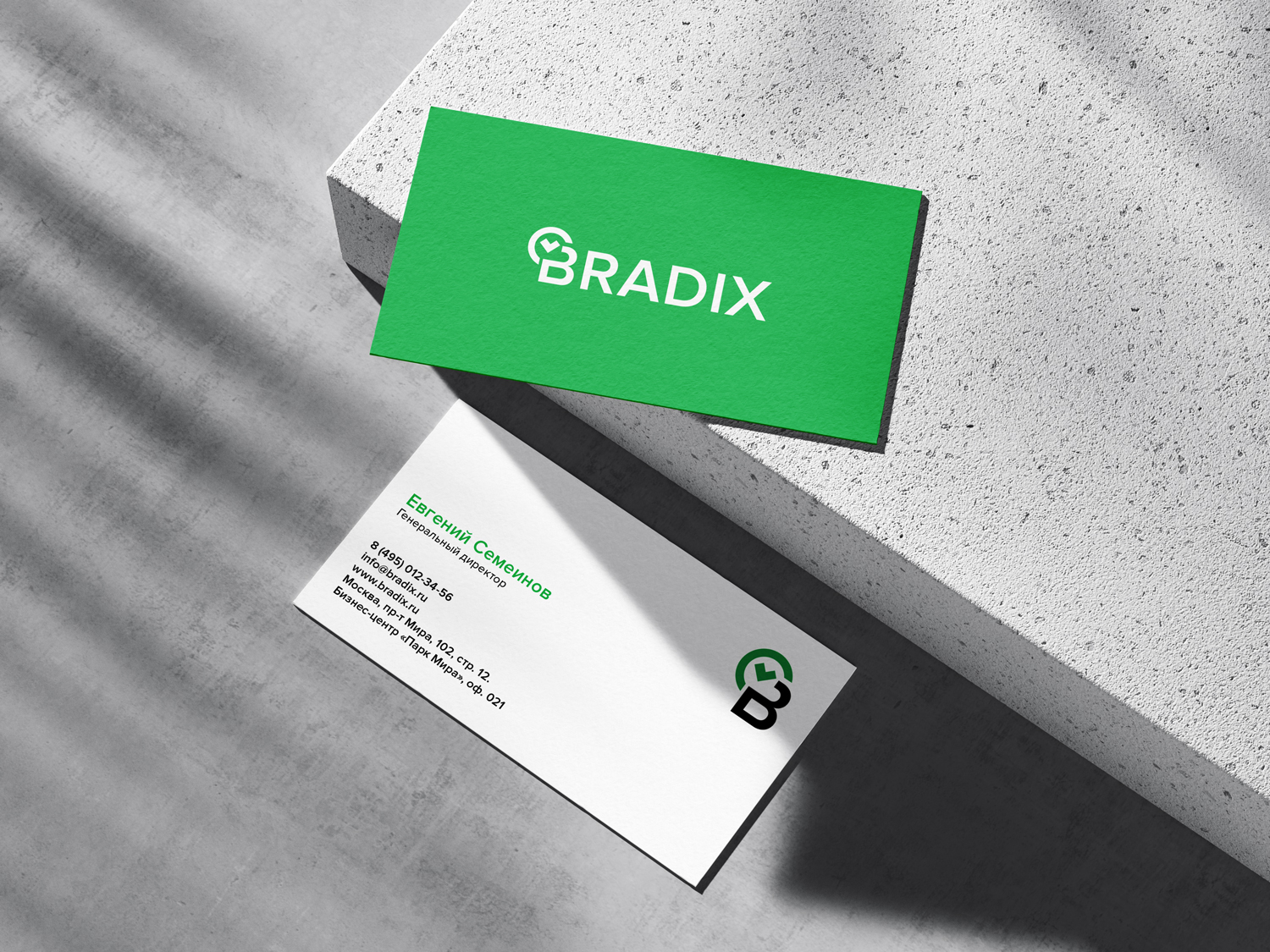 Bradix — Изображение №11 — Брендинг на Dprofile