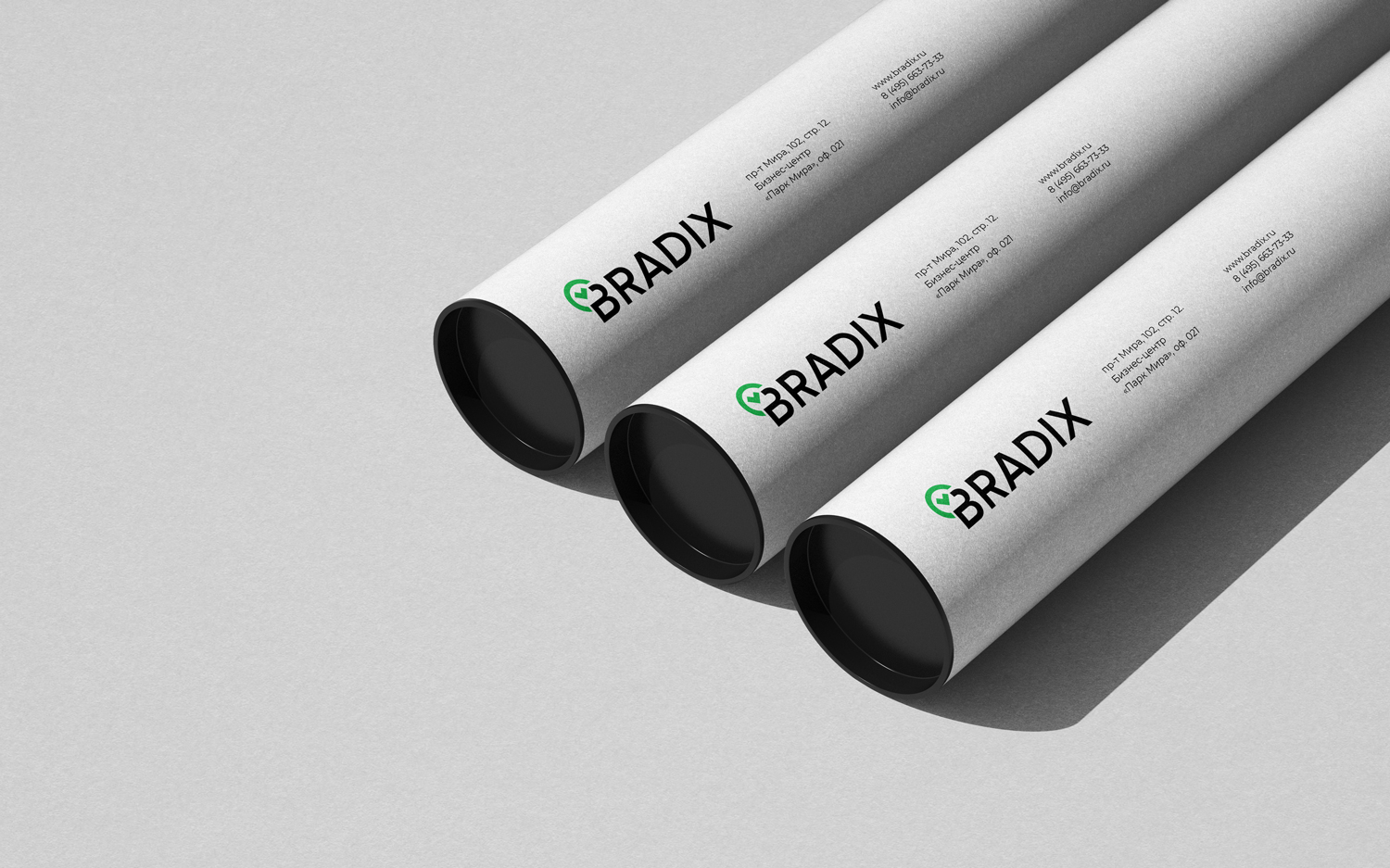Bradix — Изображение №10 — Брендинг на Dprofile