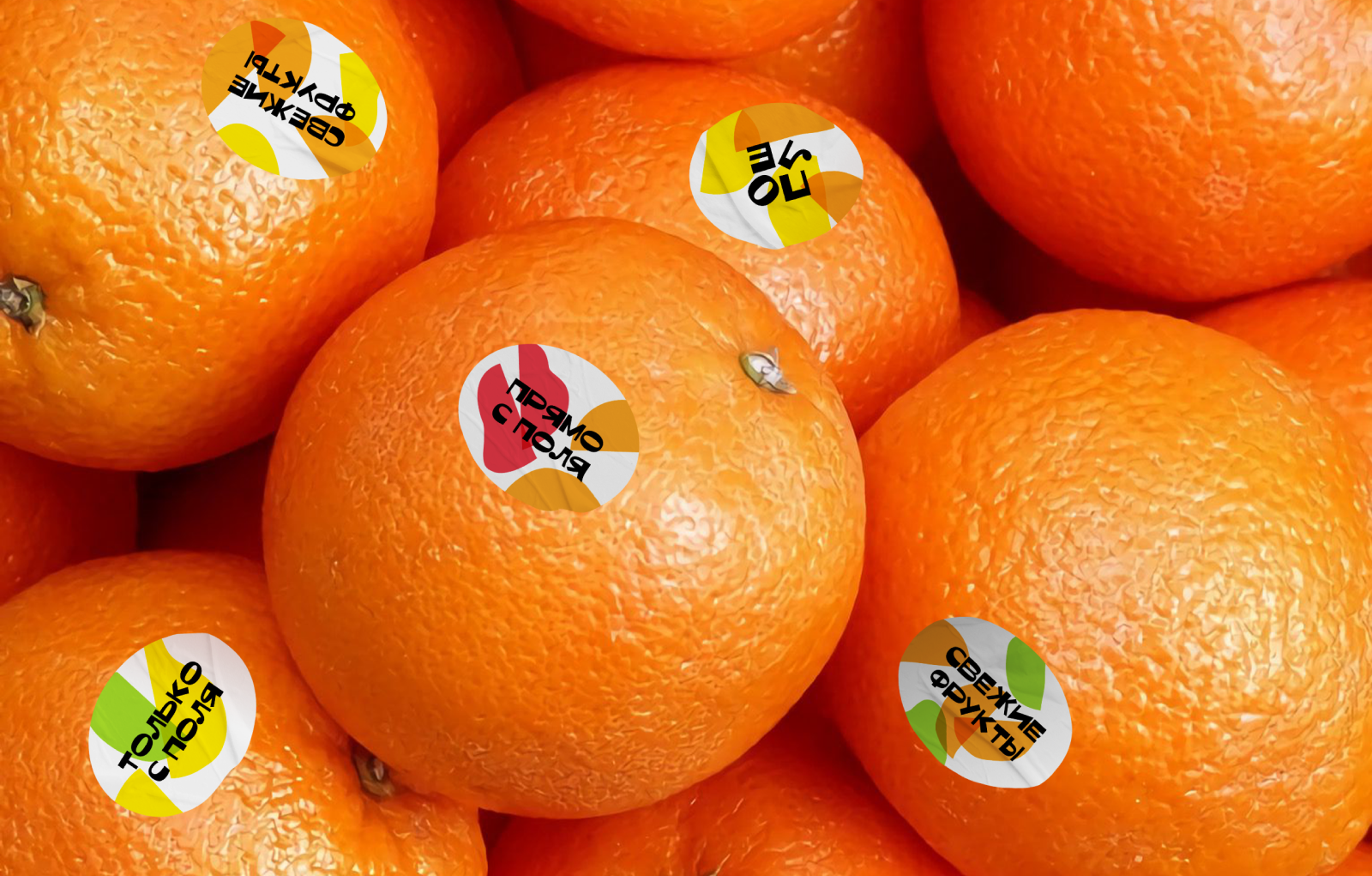 Брендинг магазина органических продуктов Поле — Изображение №5 — Брендинг, Графика на Dprofile