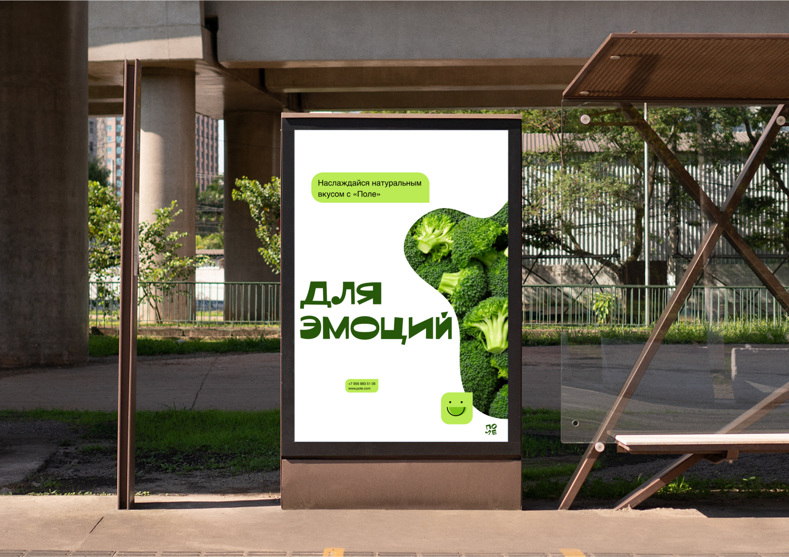 Брендинг магазина органических продуктов Поле — Изображение №9 — Брендинг, Графика на Dprofile