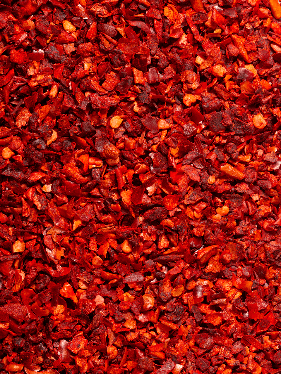 Chef's Story — Изображение №3 — Брендинг, Иллюстрация на Dprofile