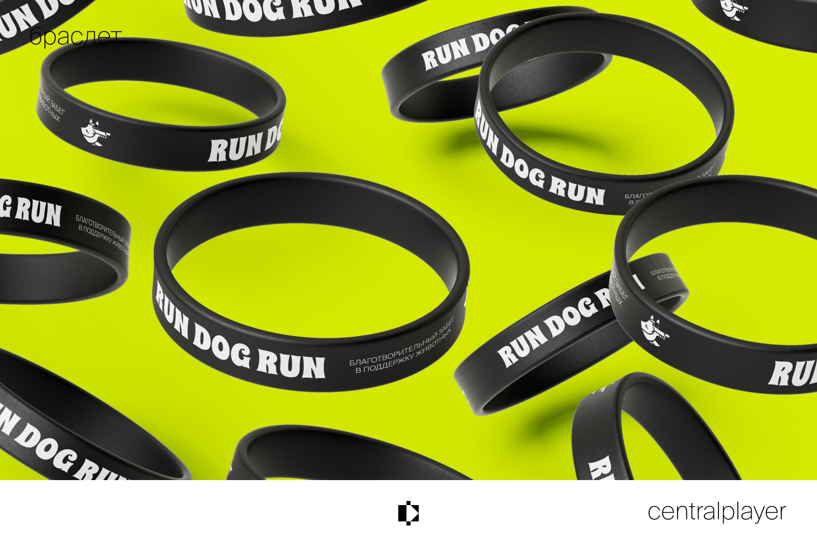 RUN DOG RUN | Айдентика благотворительного забега — Изображение №5 — Брендинг на Dprofile