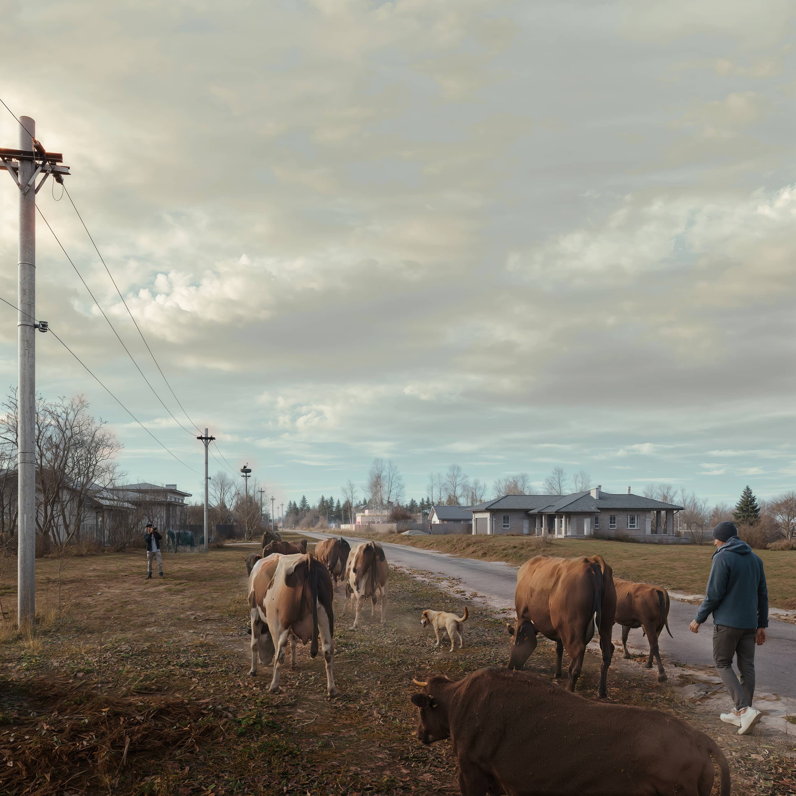 Гостевой дом Wheatfield, 100 м² — Изображение №4 — Брендинг, 3D на Dprofile