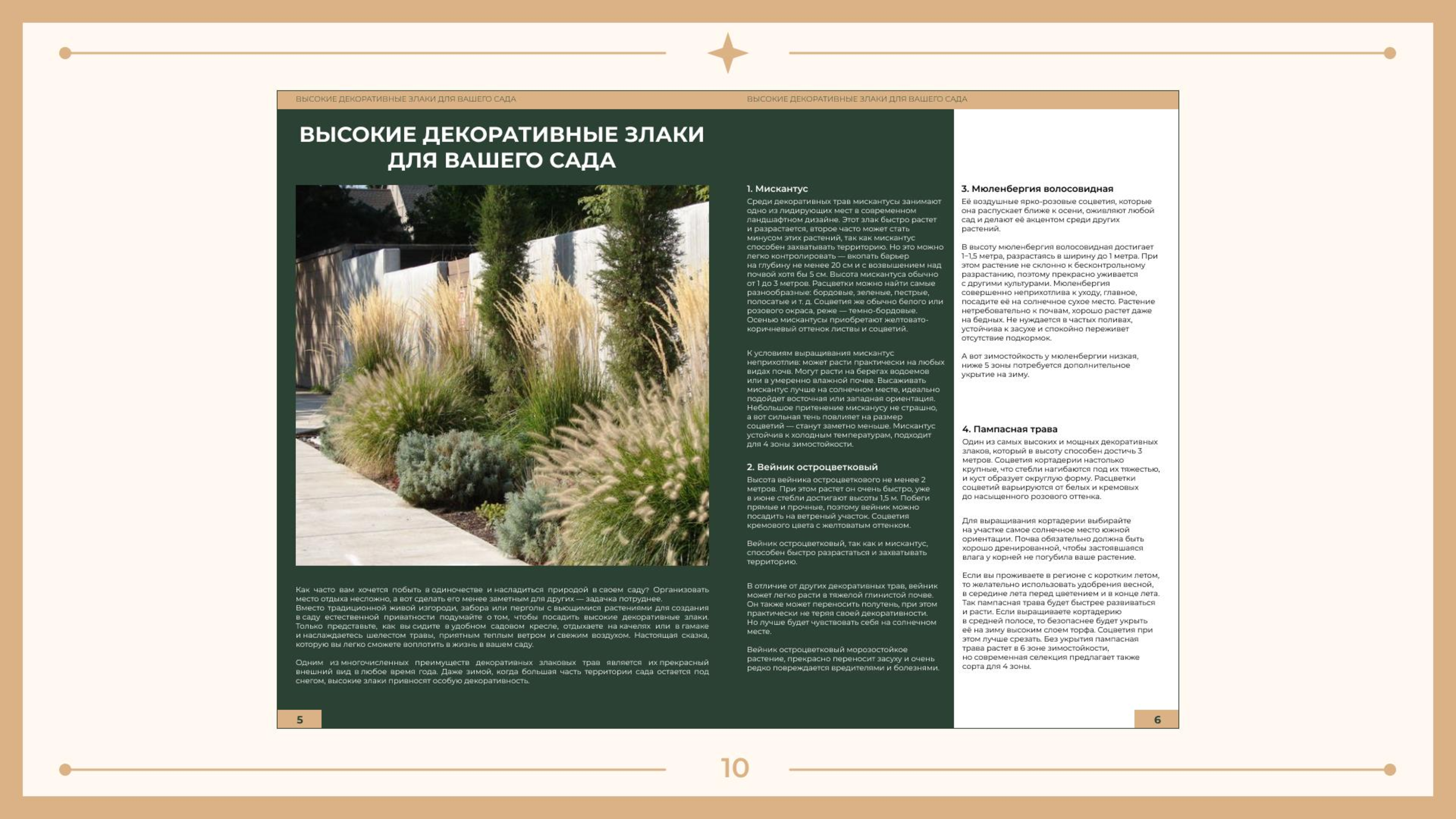 Презентация разработки журнала — Изображение №10 — Графика, Маркетинг на Dprofile