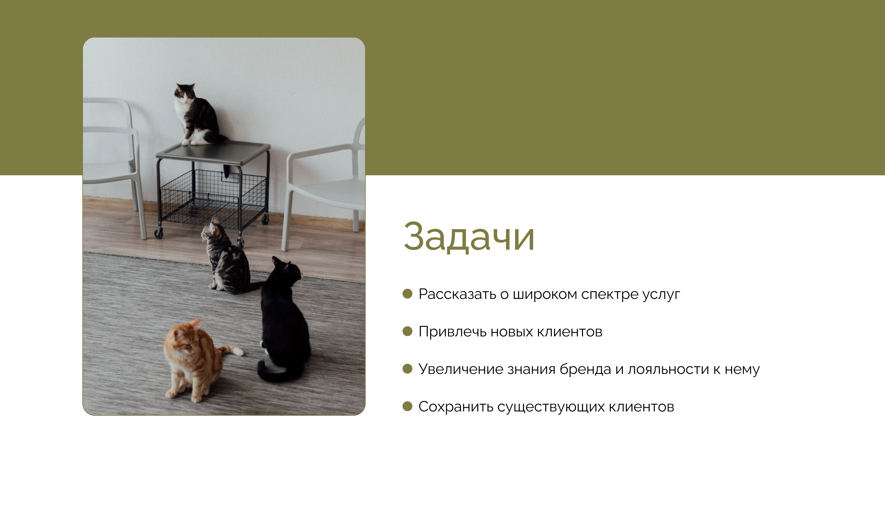 Сайт для ветеринарной клиники CatDoctor — Изображение №2 — Интерфейсы на Dprofile