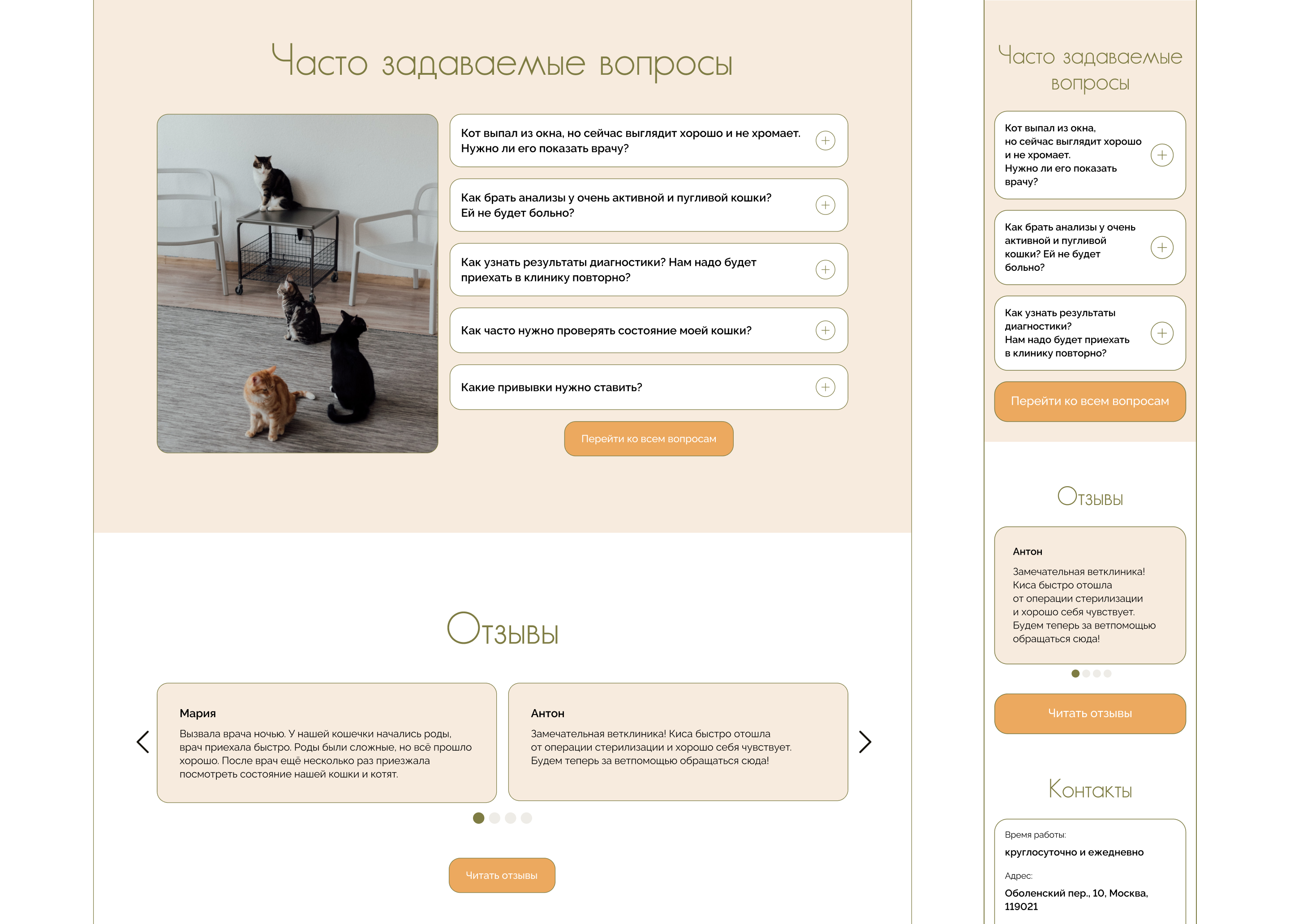 Сайт для ветеринарной клиники CatDoctor — Изображение №10 — Интерфейсы на Dprofile