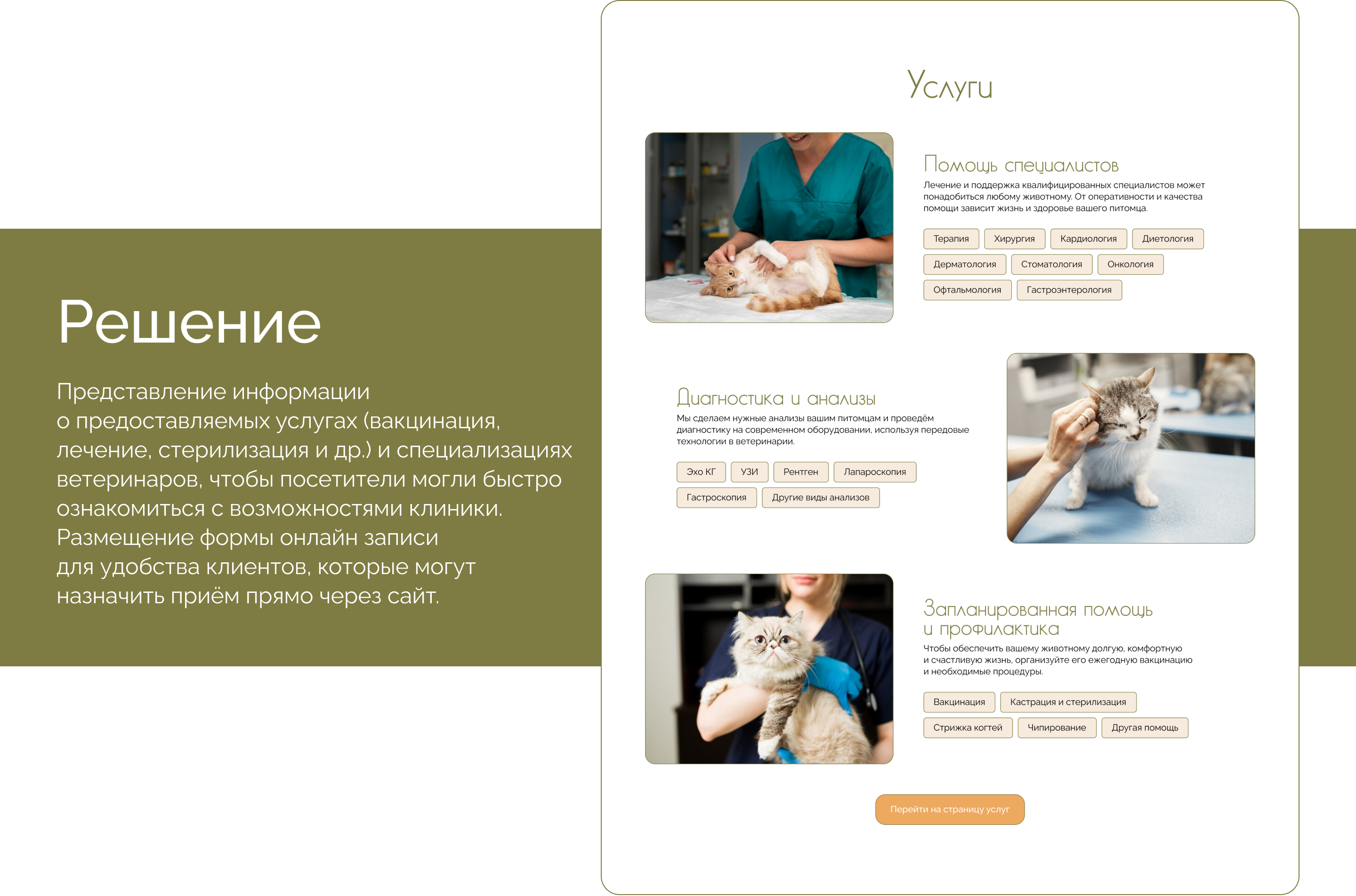 Сайт для ветеринарной клиники CatDoctor — Изображение №3 — Интерфейсы на Dprofile
