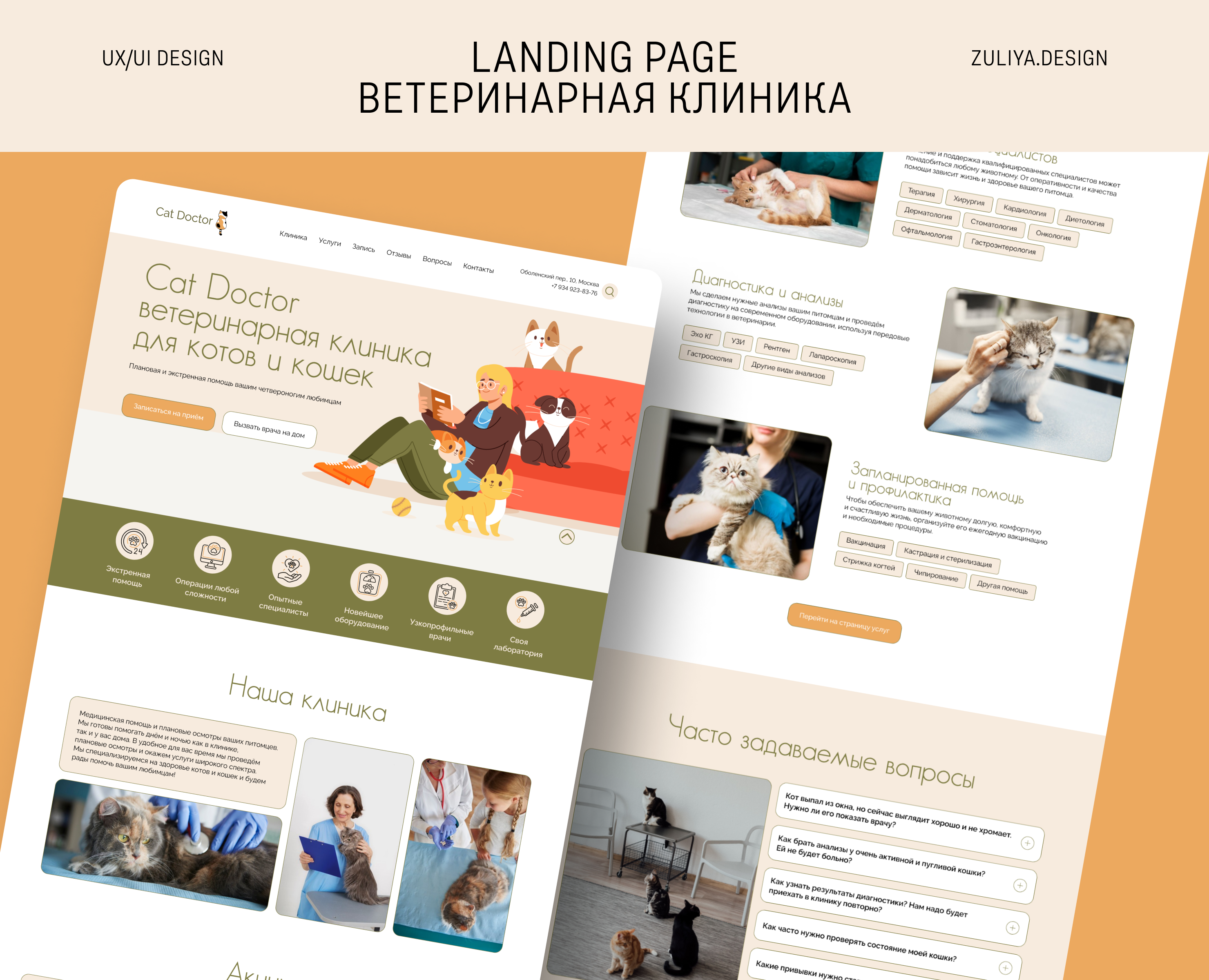 Сайт для ветеринарной клиники CatDoctor — Интерфейсы на Dprofile