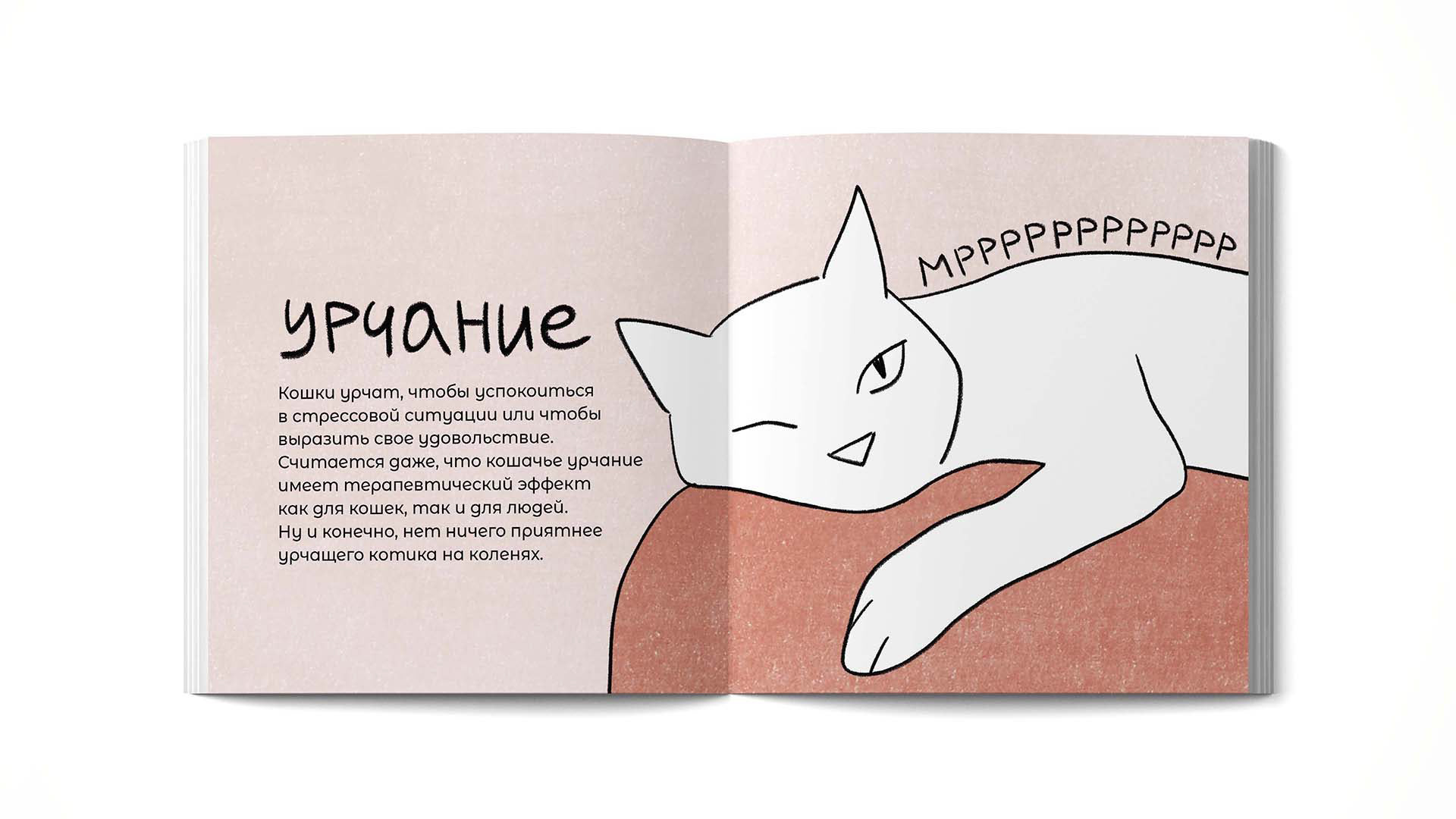 Зин про котиков — Изображение №8 — Иллюстрация, Графика на Dprofile