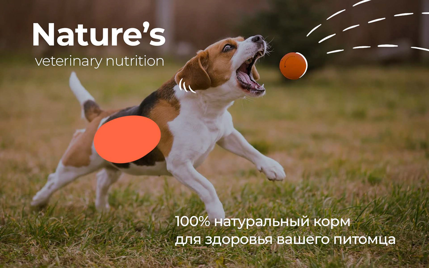 Фирменный стиль корма для животных — Изображение №9 — Брендинг, Иллюстрация на Dprofile
