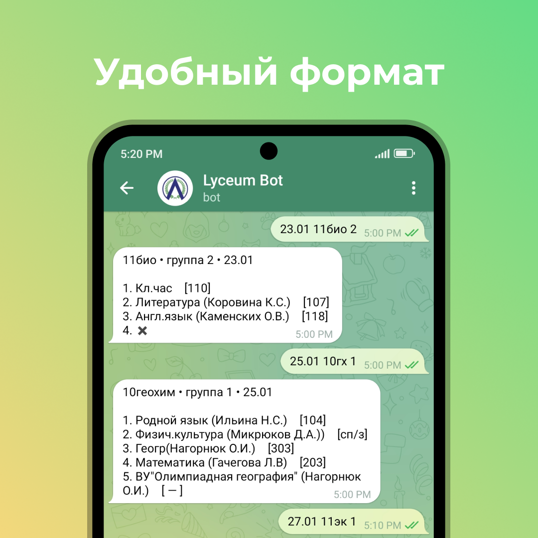 Lyceum Bot — Изображение №3 — Брендинг, Графика на Dprofile