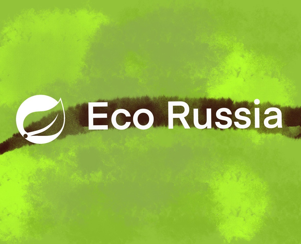 EcoRussia — Интерфейсы на Dprofile