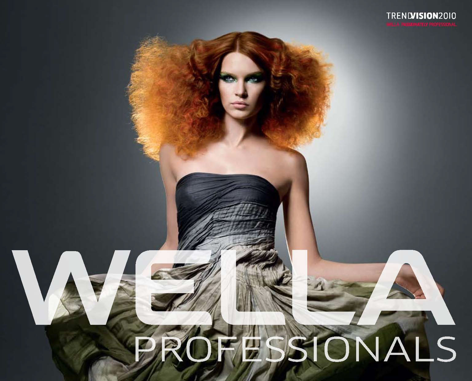 Wella Professionals 2010 — Изображение №1 — Брендинг, Графика на Dprofile