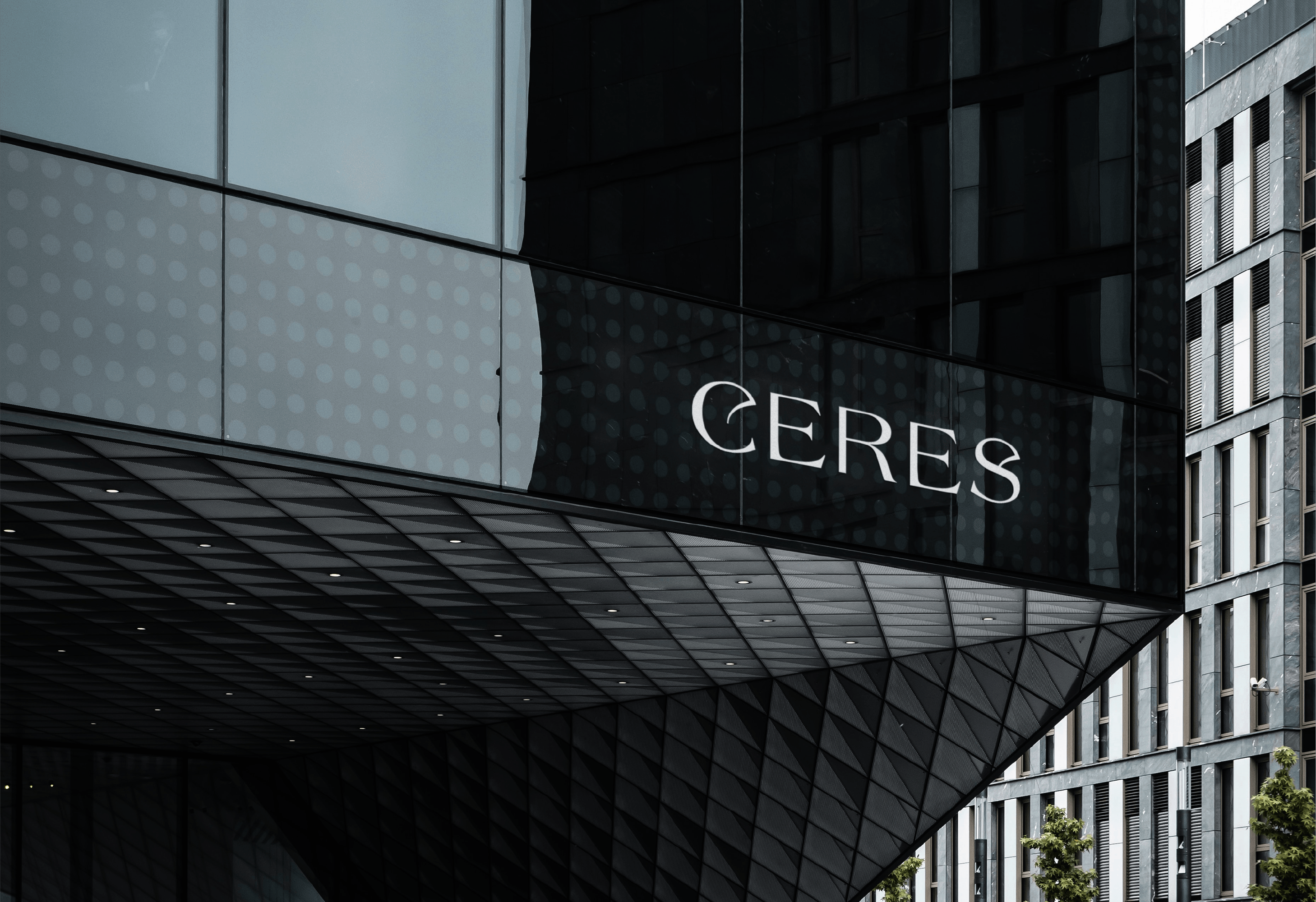 Логотип для бренда ювелирных украшений / Ceres — Изображение №12 — Брендинг на Dprofile