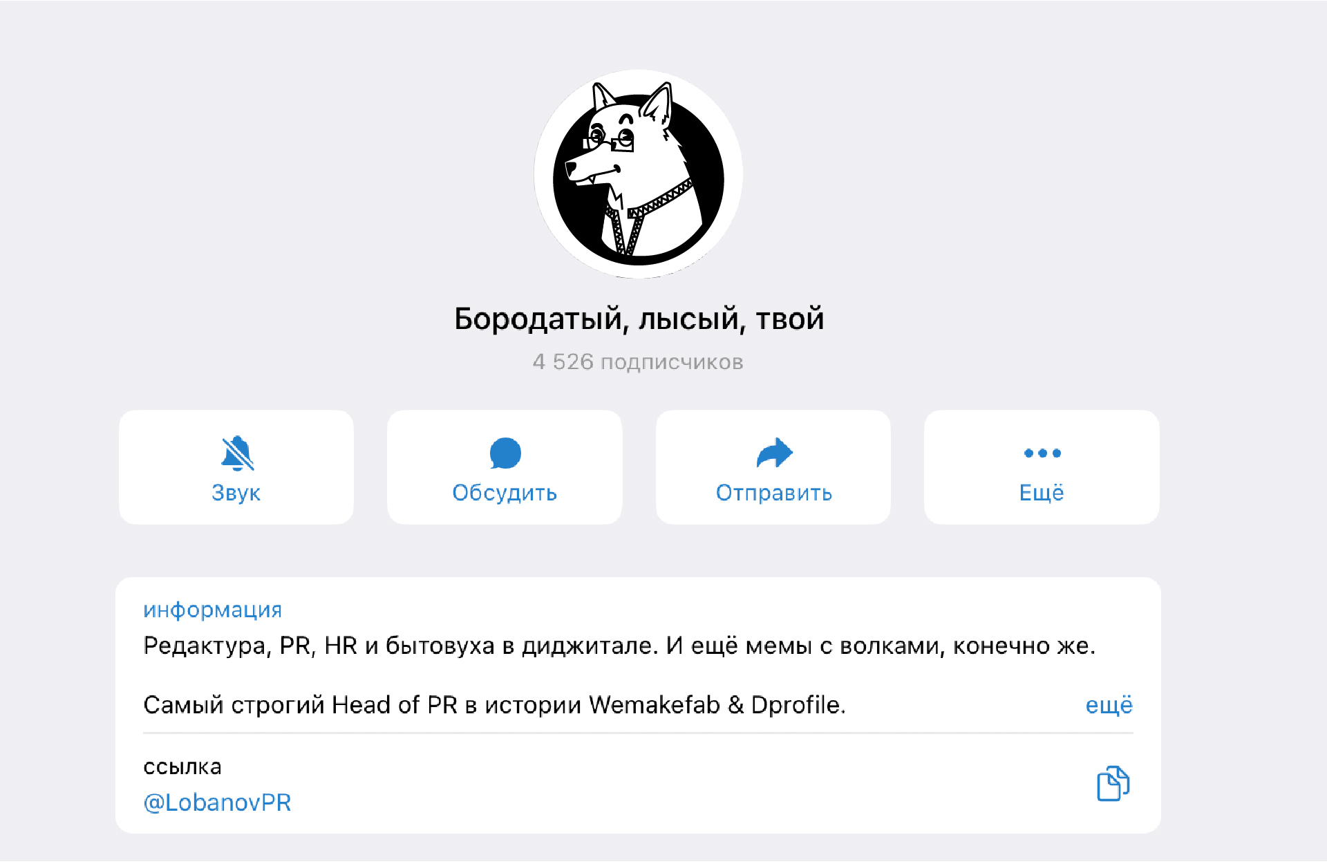 Фирменный стиль для личного бренда Константина Лобанова — Изображение №3 — Брендинг, Графика на Dprofile