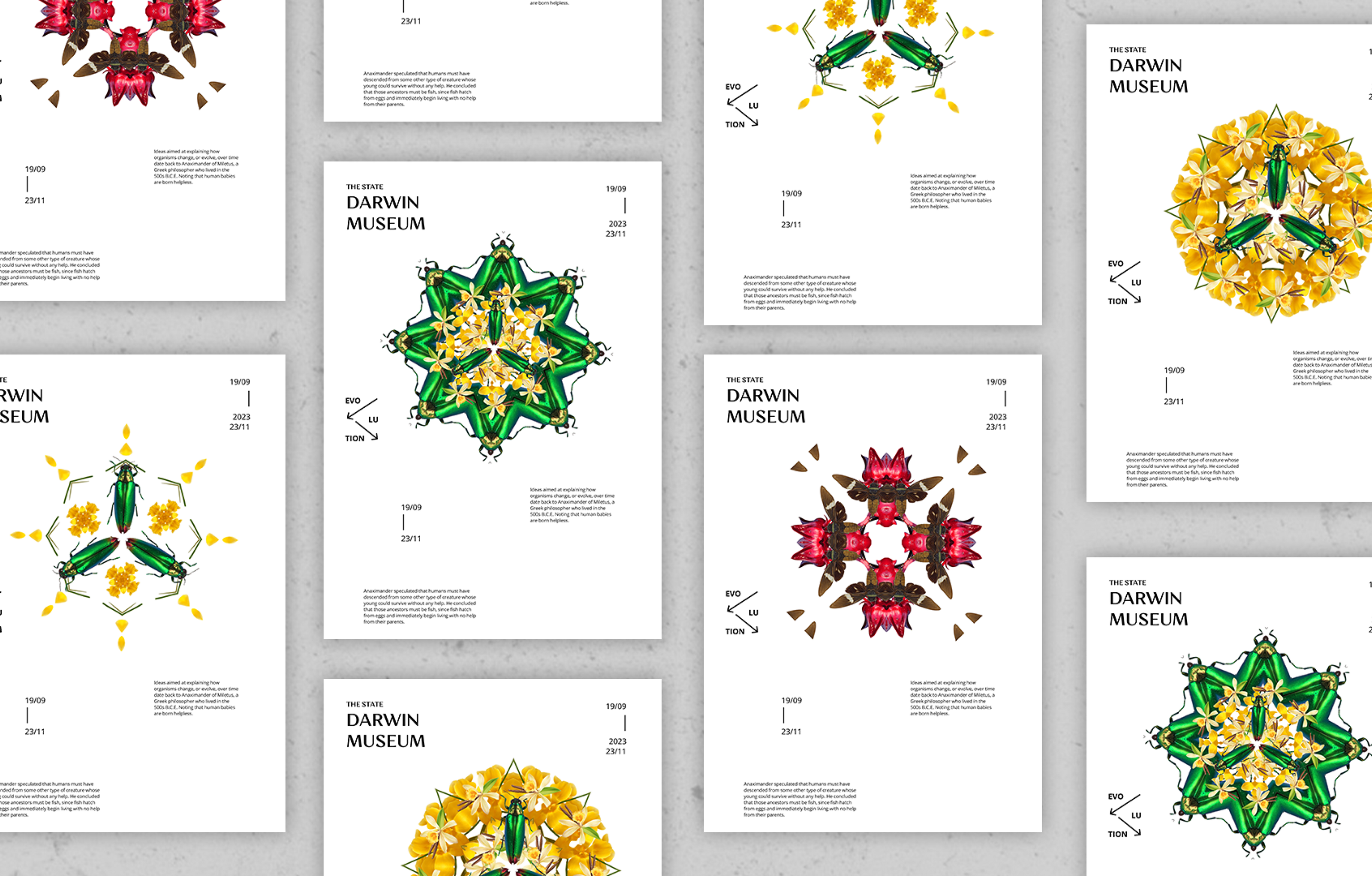 The State Darwin Museum | Branding concept — Изображение №6 — Брендинг, Графика на Dprofile