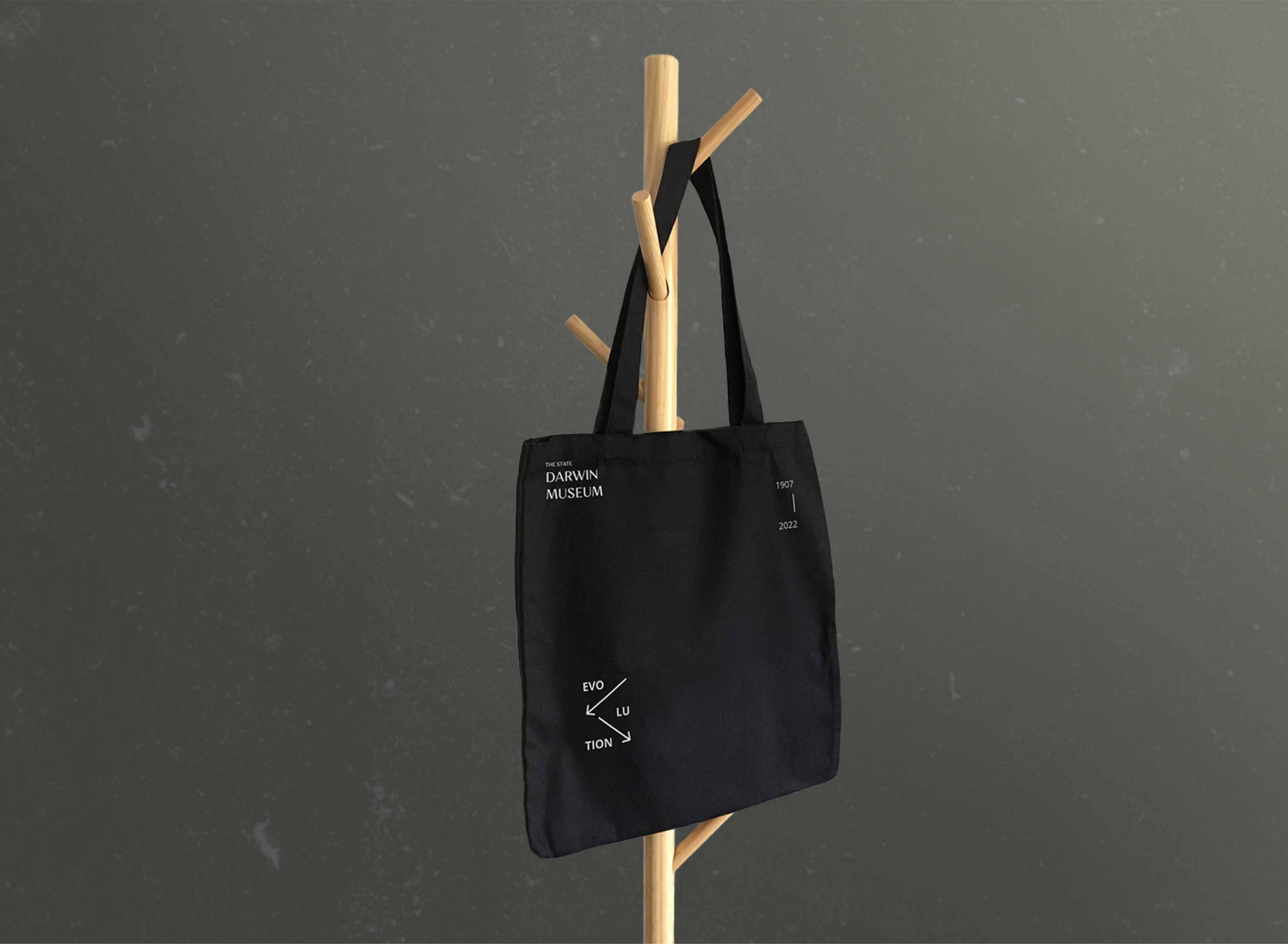 The State Darwin Museum | Branding concept — Изображение №11 — Брендинг, Графика на Dprofile