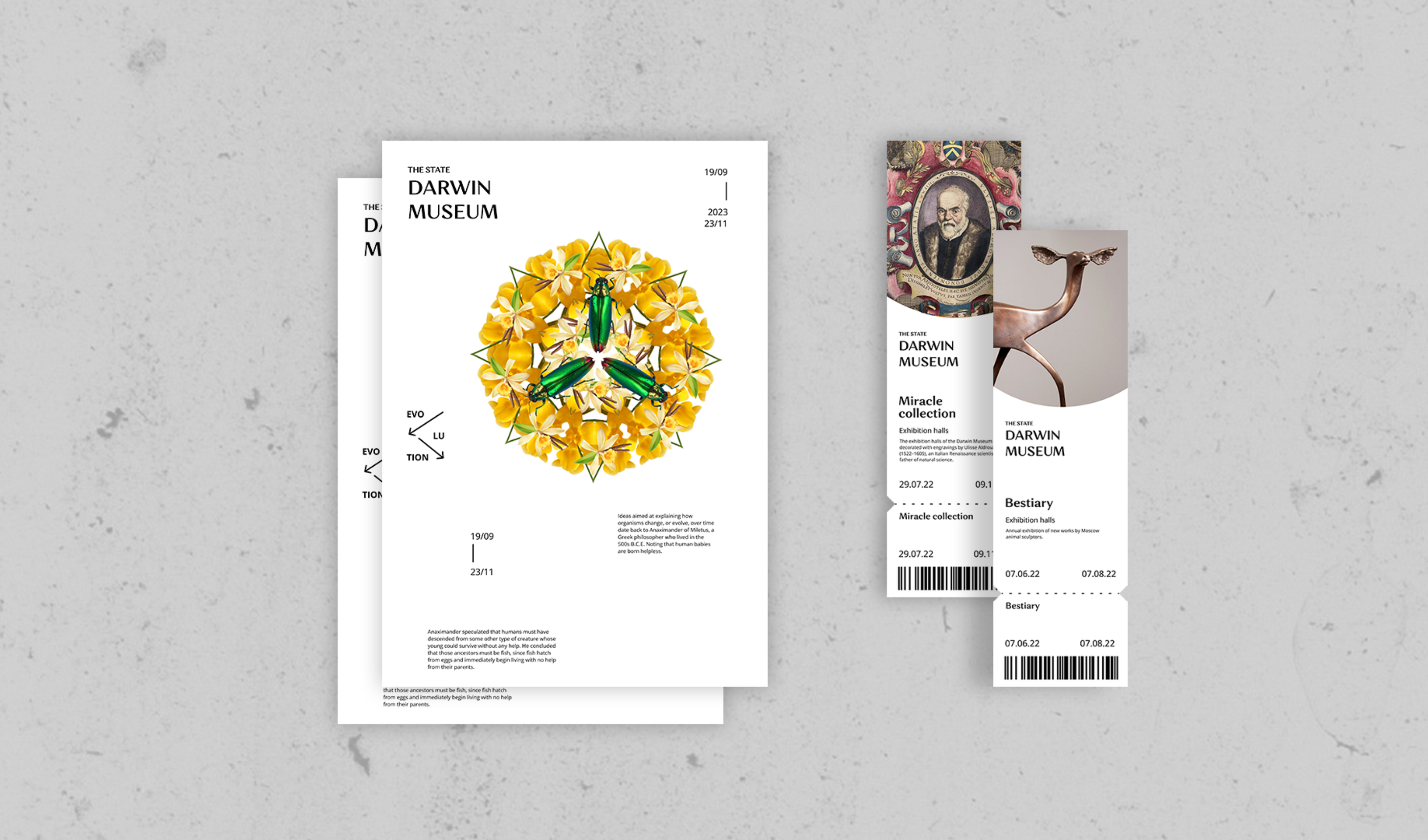 The State Darwin Museum | Branding concept — Изображение №5 — Брендинг, Графика на Dprofile