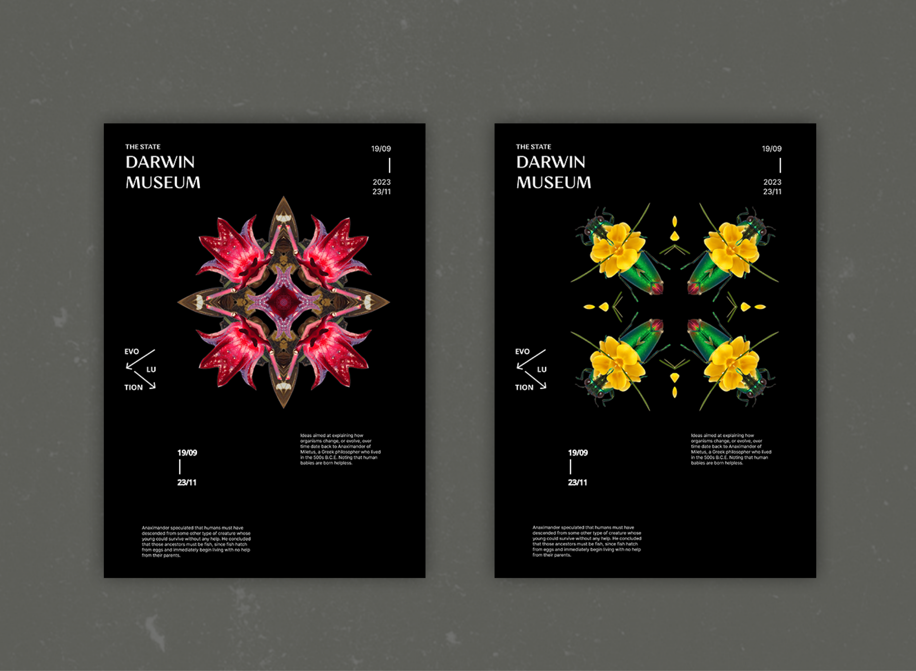 The State Darwin Museum | Branding concept — Изображение №9 — Брендинг, Графика на Dprofile