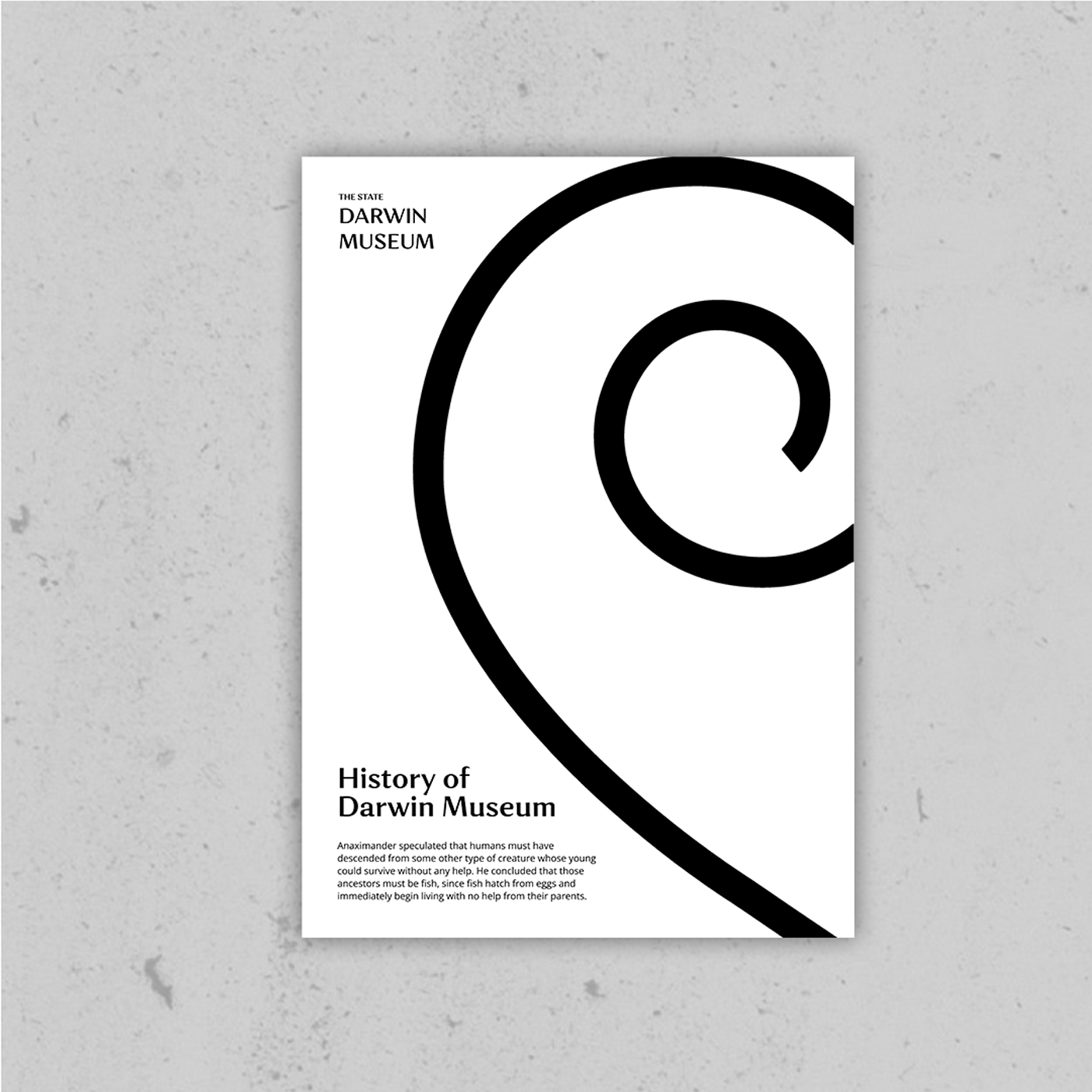The State Darwin Museum | Branding concept — Изображение №4 — Брендинг, Графика на Dprofile