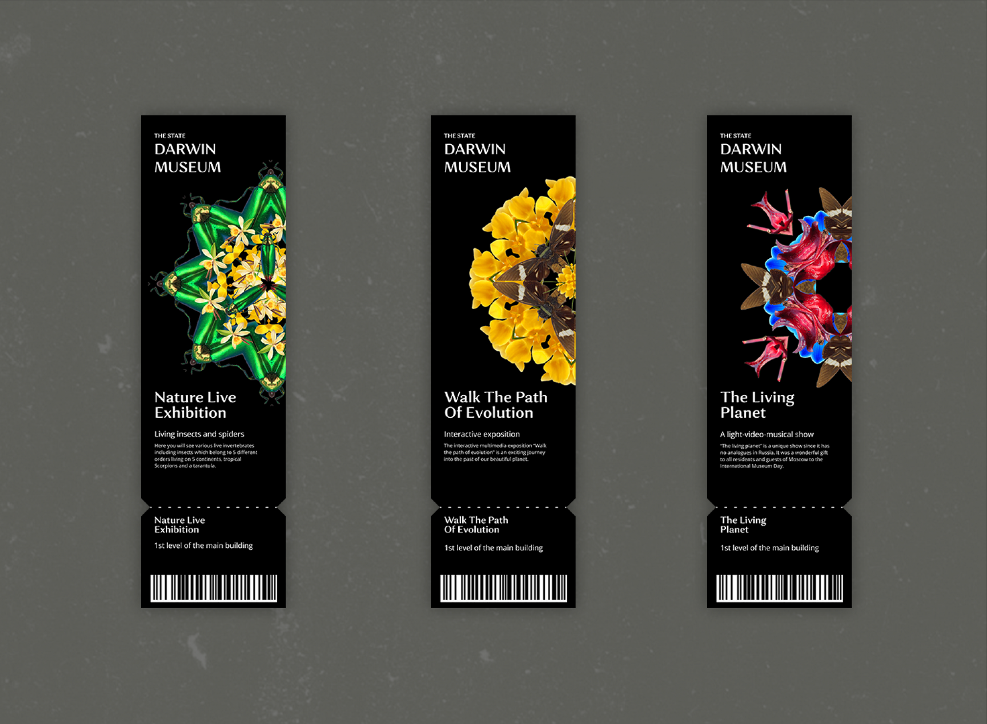 The State Darwin Museum | Branding concept — Изображение №10 — Брендинг, Графика на Dprofile