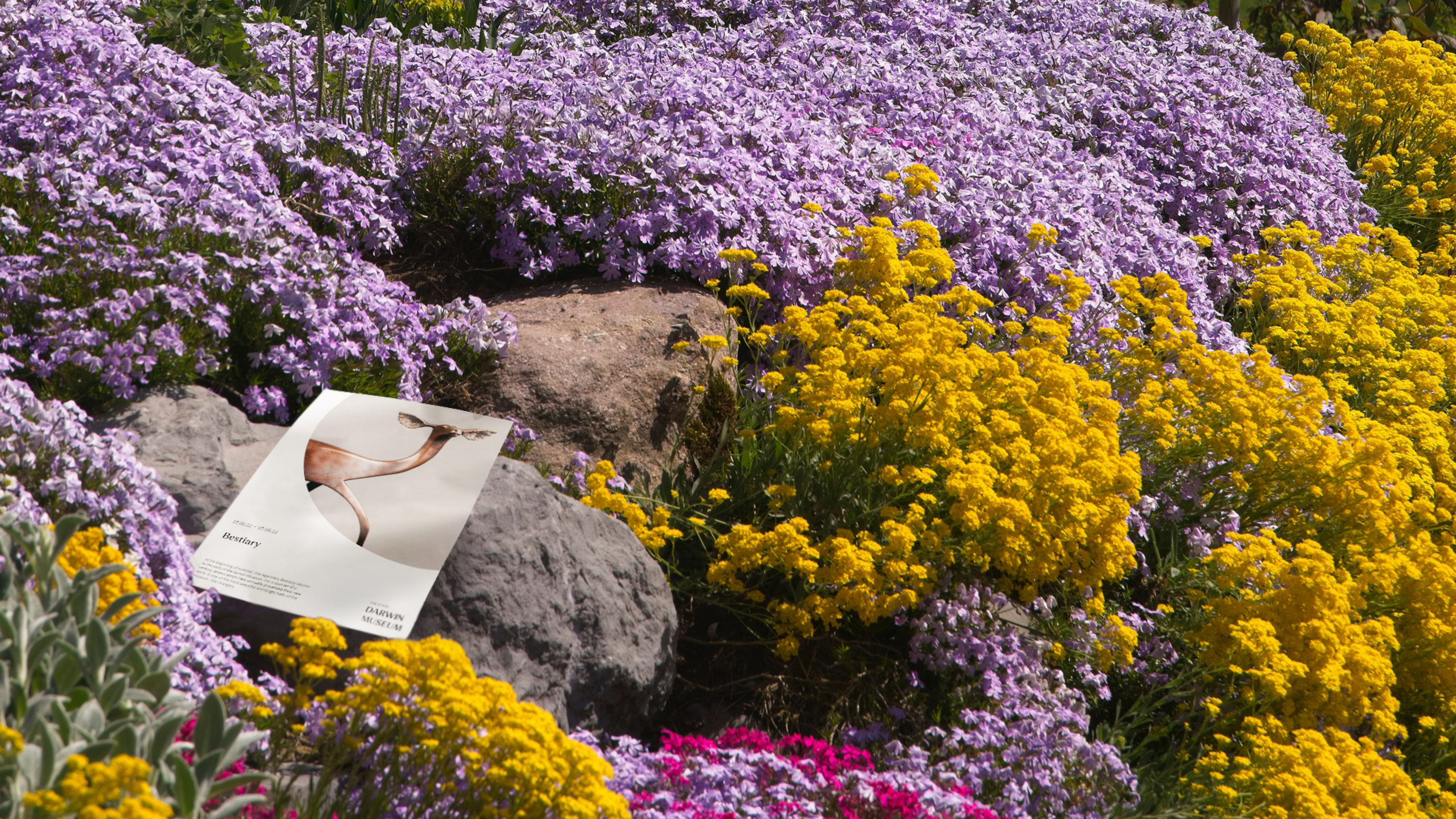 The State Darwin Museum | Branding concept — Изображение №8 — Брендинг, Графика на Dprofile