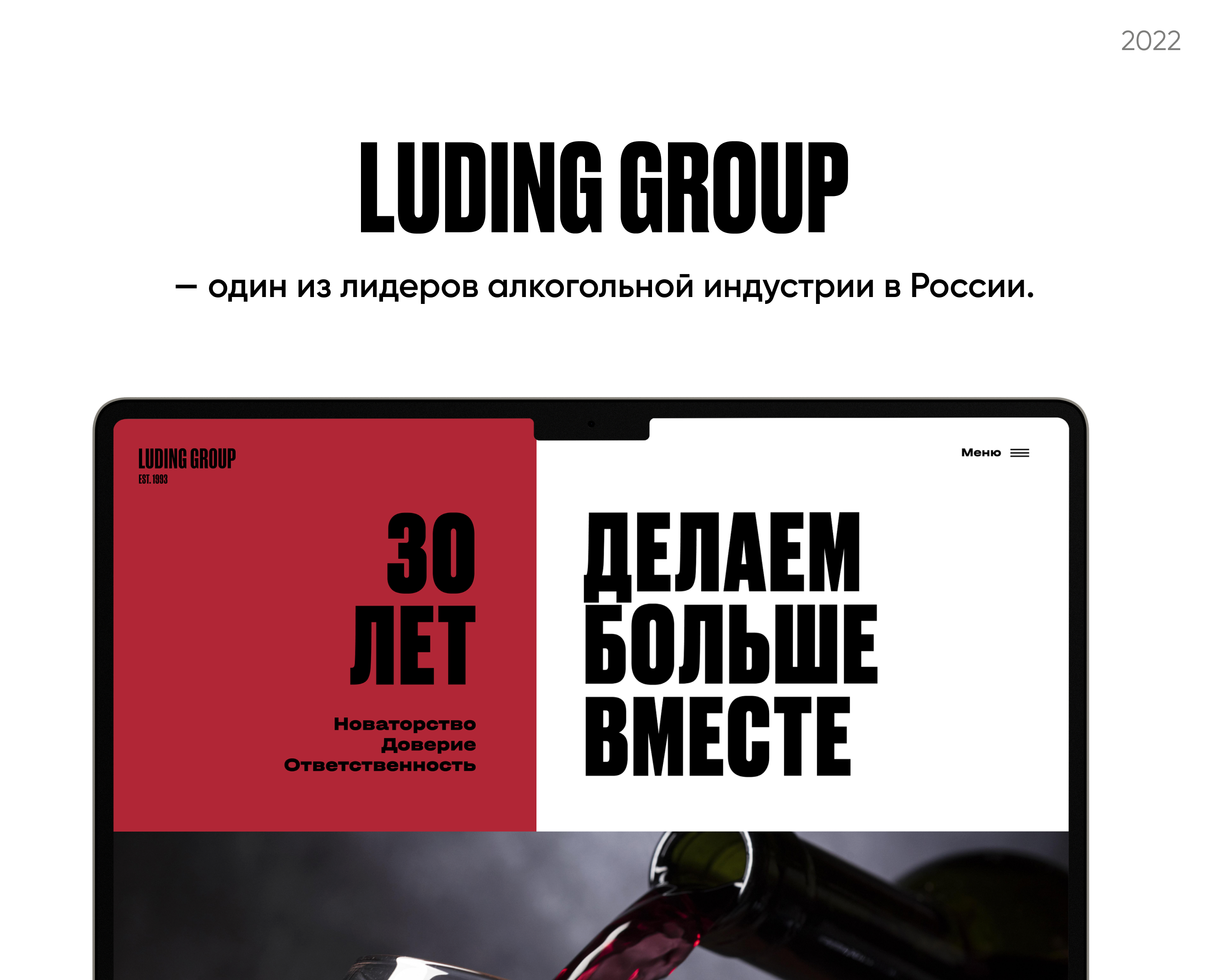 Редизайн сайта алкогольного холдинга LudingGroup на Dprofile