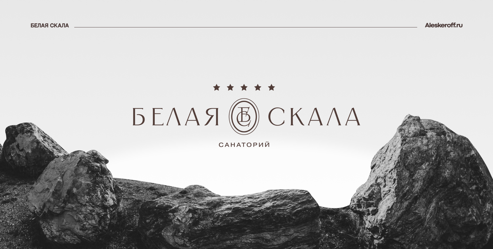 Белая Скала — Brand Identity — Изображение №1 — Брендинг на Dprofile