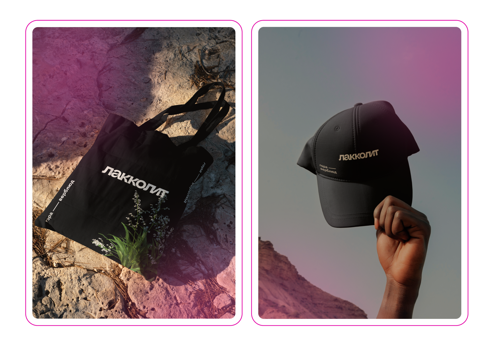 Лакколит — Brand Identity — Изображение №1 — Брендинг на Dprofile