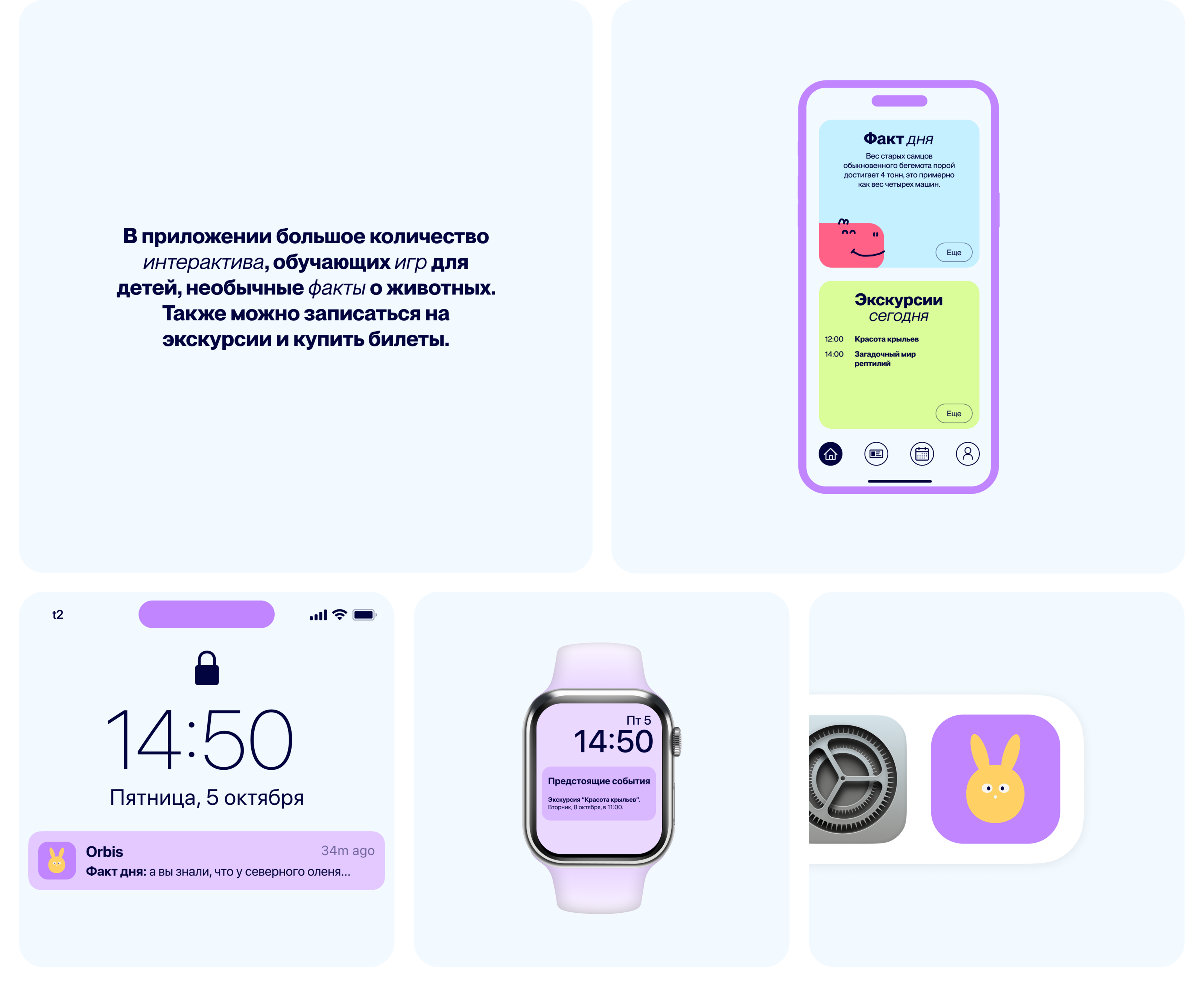 Зоопарк Орбис — Изображение №16 — Интерфейсы, Брендинг на Dprofile