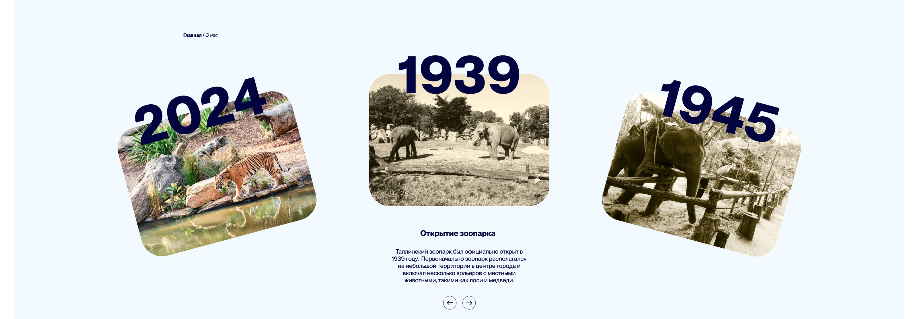 Зоопарк Орбис — Изображение №10 — Интерфейсы, Брендинг на Dprofile