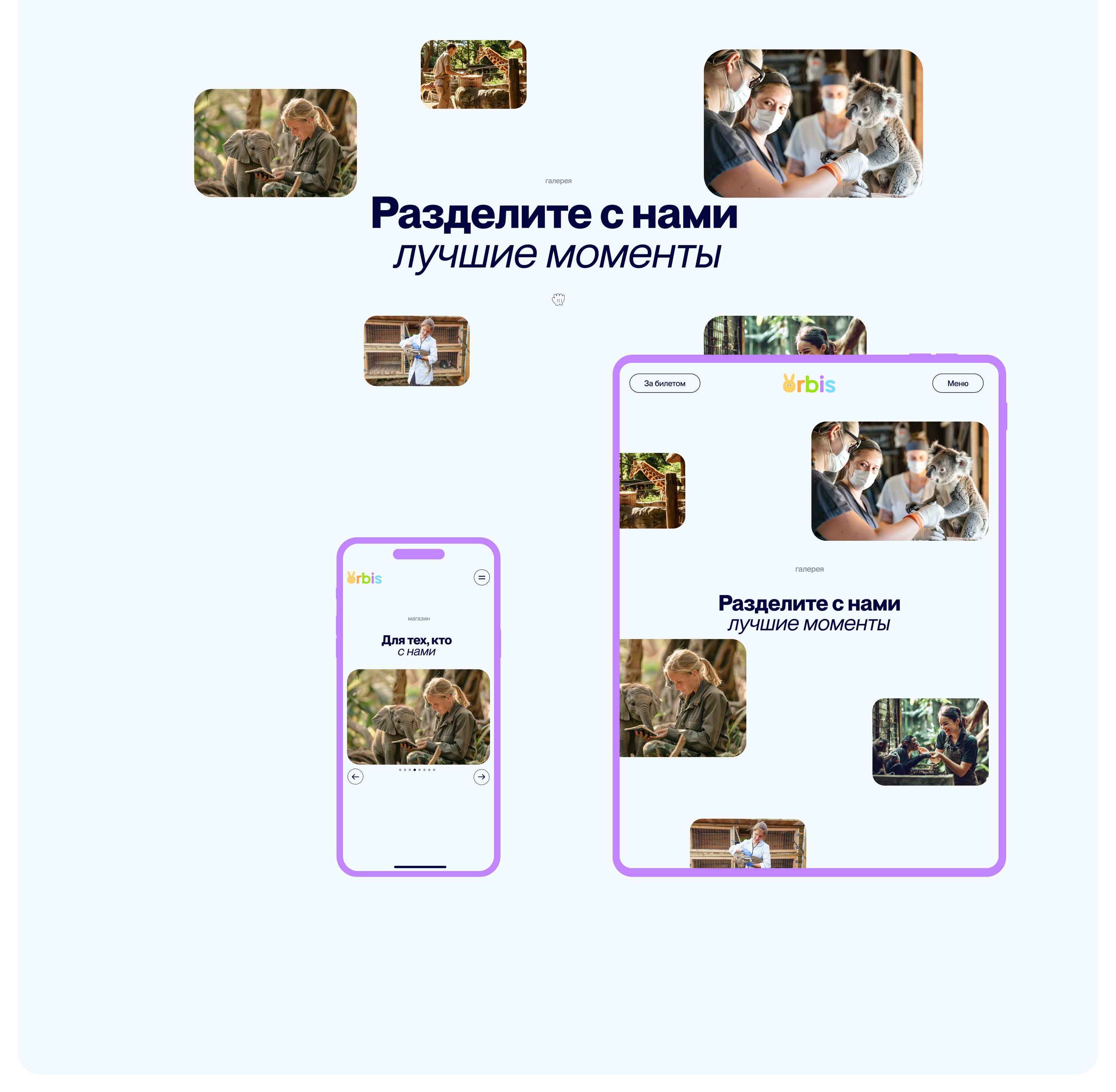 Зоопарк Орбис — Изображение №11 — Интерфейсы, Брендинг на Dprofile