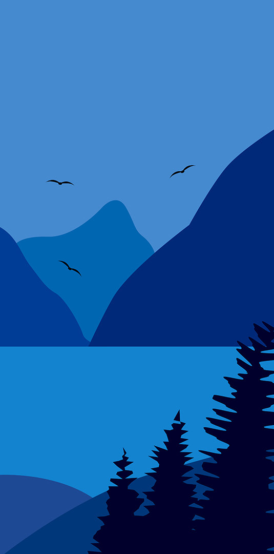 Иллюстрация для чайной упаковки «Талисман Алтая» — Изображение №7 — Брендинг, Иллюстрация на Dprofile