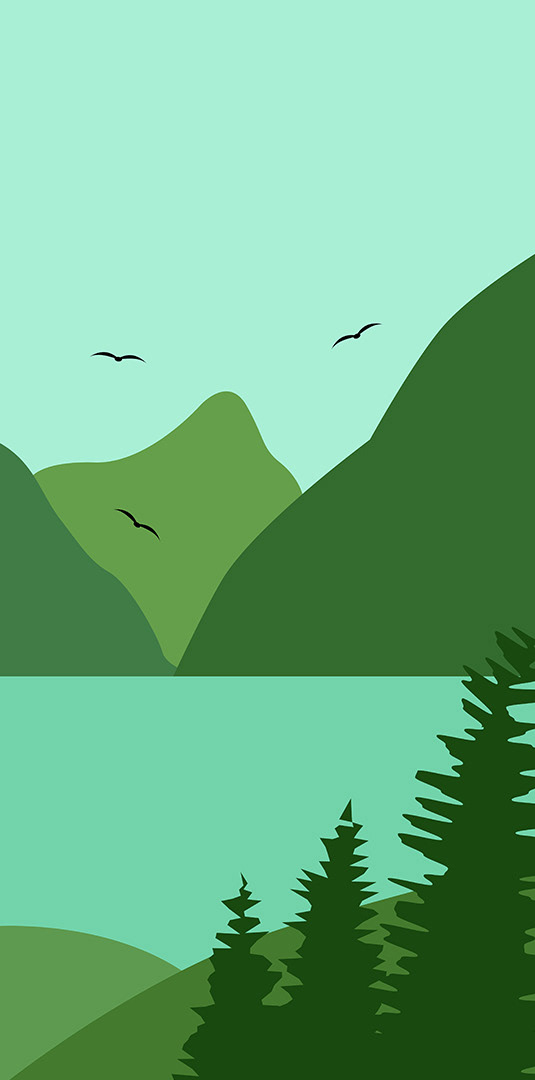 Иллюстрация для чайной упаковки «Талисман Алтая» — Изображение №4 — Брендинг, Иллюстрация на Dprofile