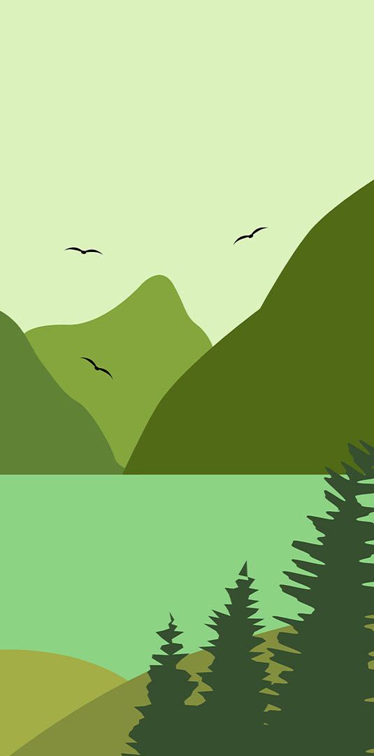 Иллюстрация для чайной упаковки «Талисман Алтая» — Изображение №3 — Брендинг, Иллюстрация на Dprofile