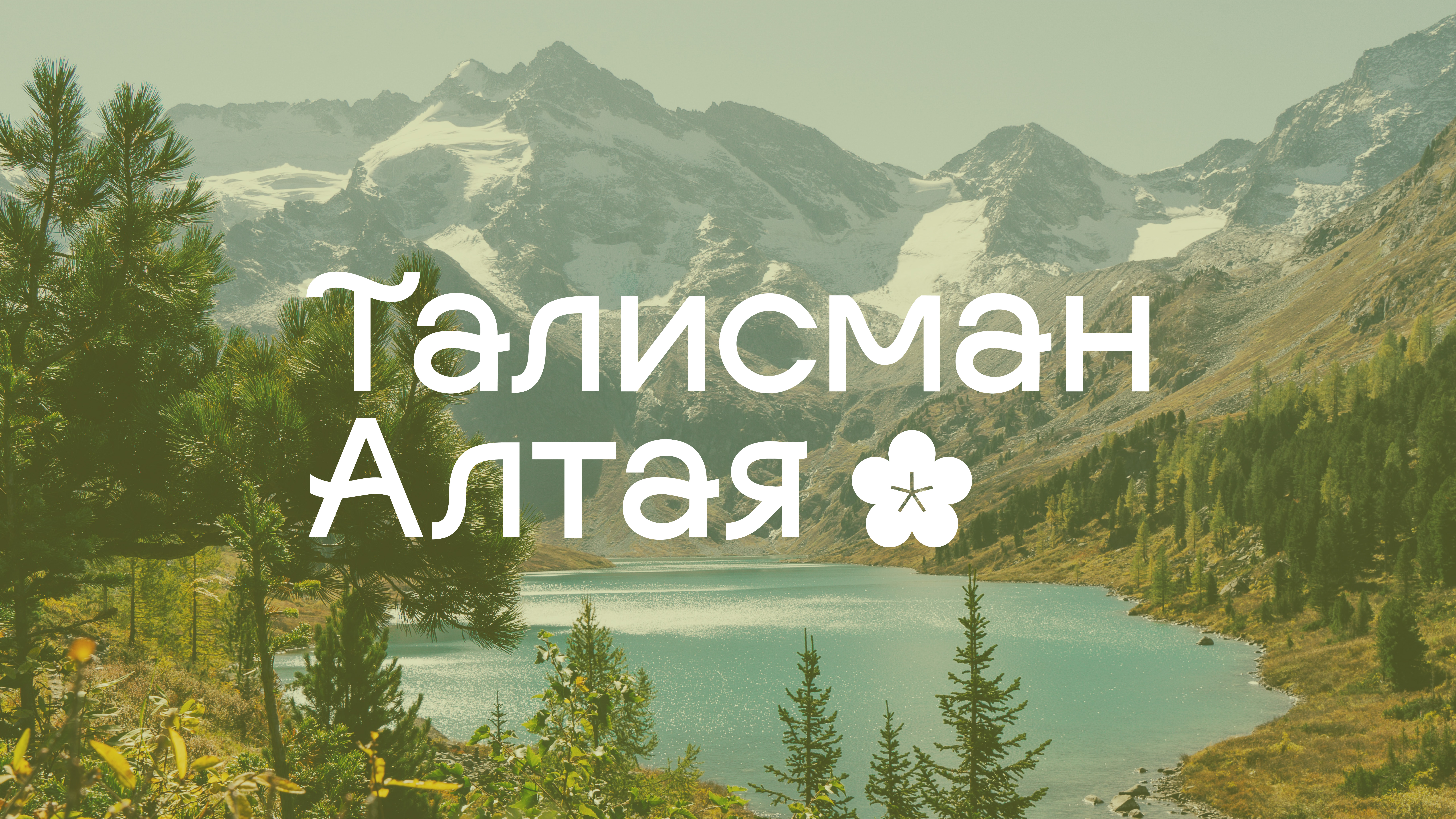 Иллюстрация для чайной упаковки «Талисман Алтая» — Изображение №1 — Брендинг, Иллюстрация на Dprofile