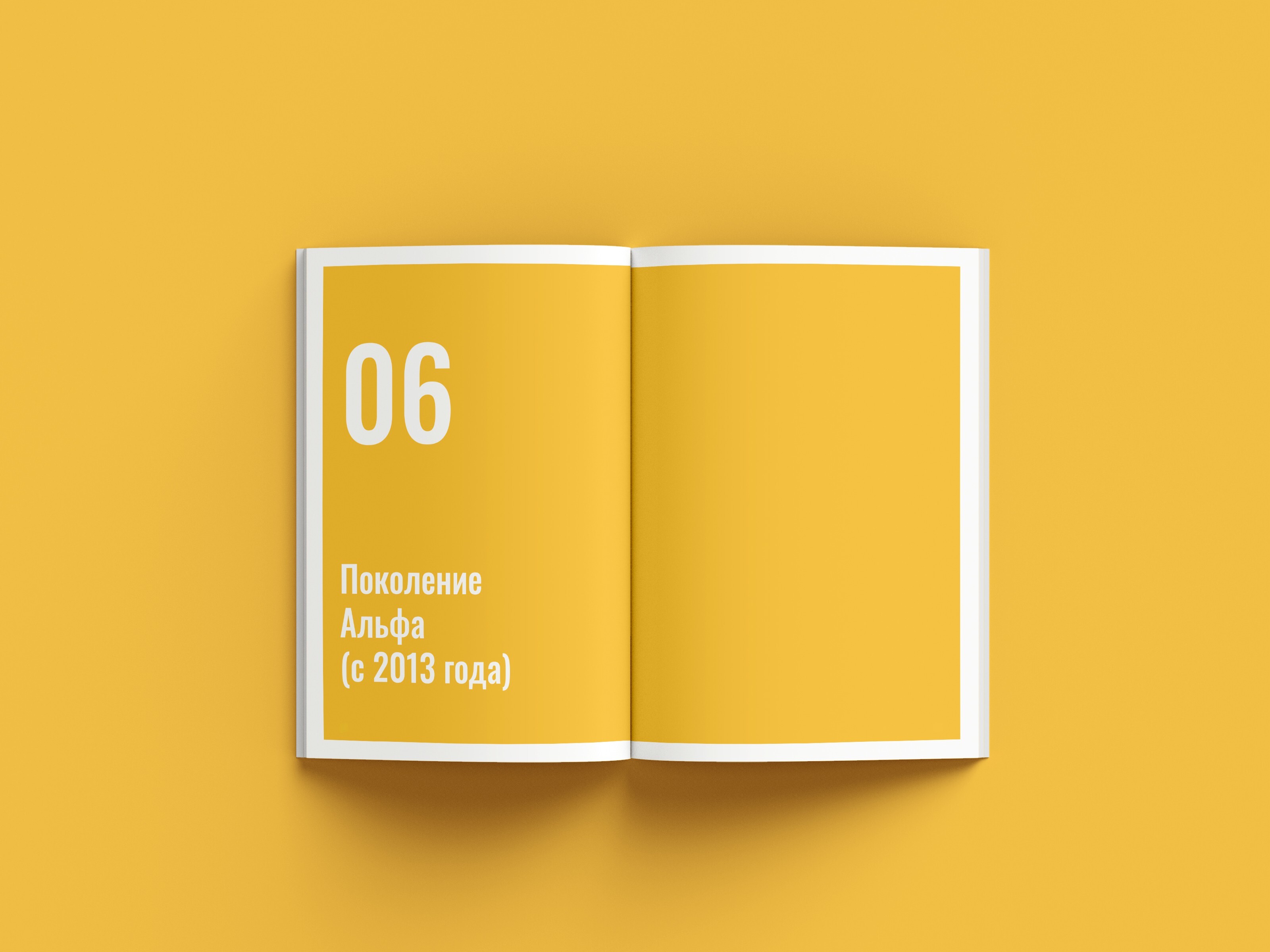 Дизайн и верстка брошюры «Теория поколений» — Изображение №19 — Графика на Dprofile