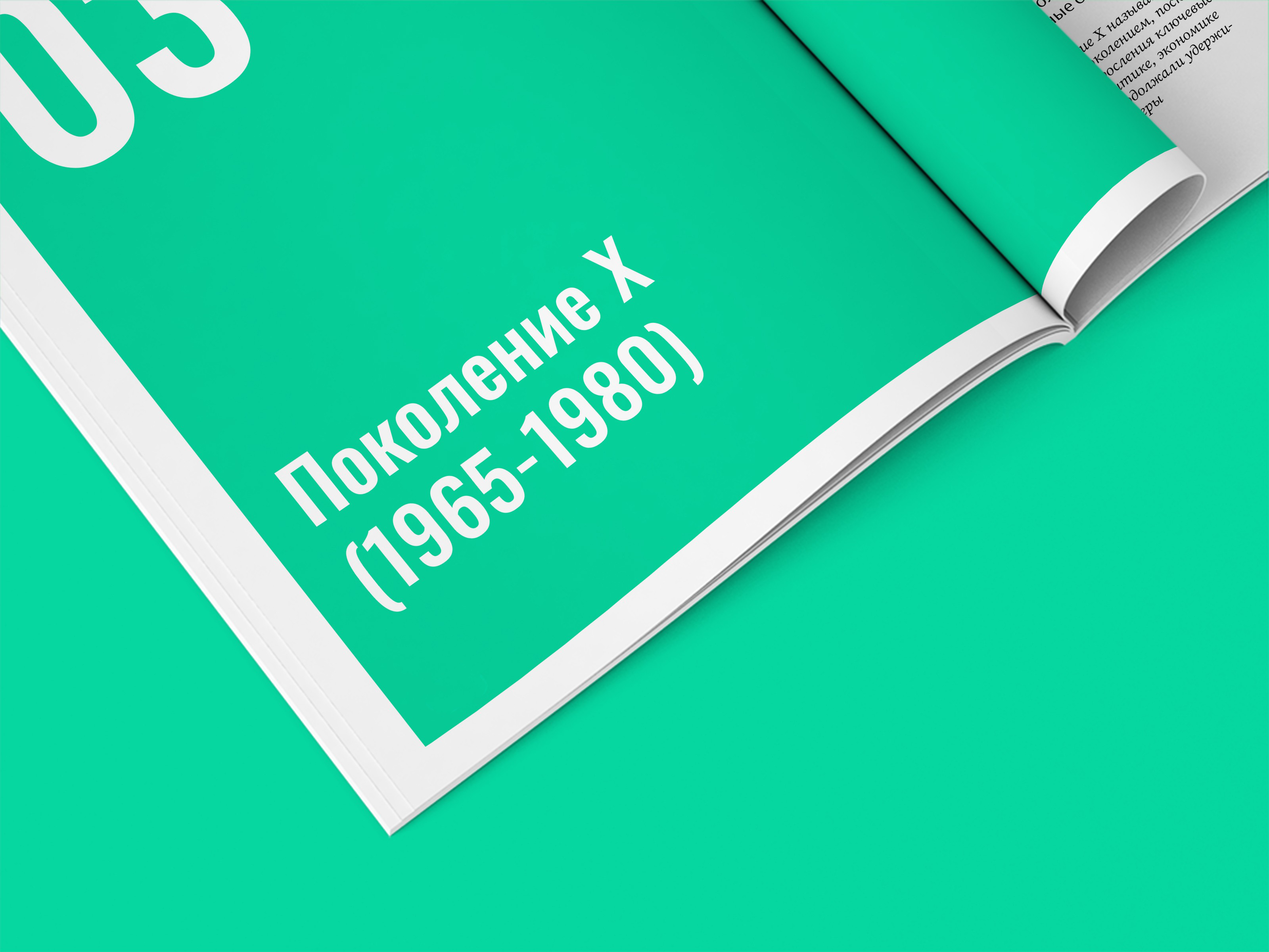 Дизайн и верстка брошюры «Теория поколений» — Изображение №12 — Графика на Dprofile