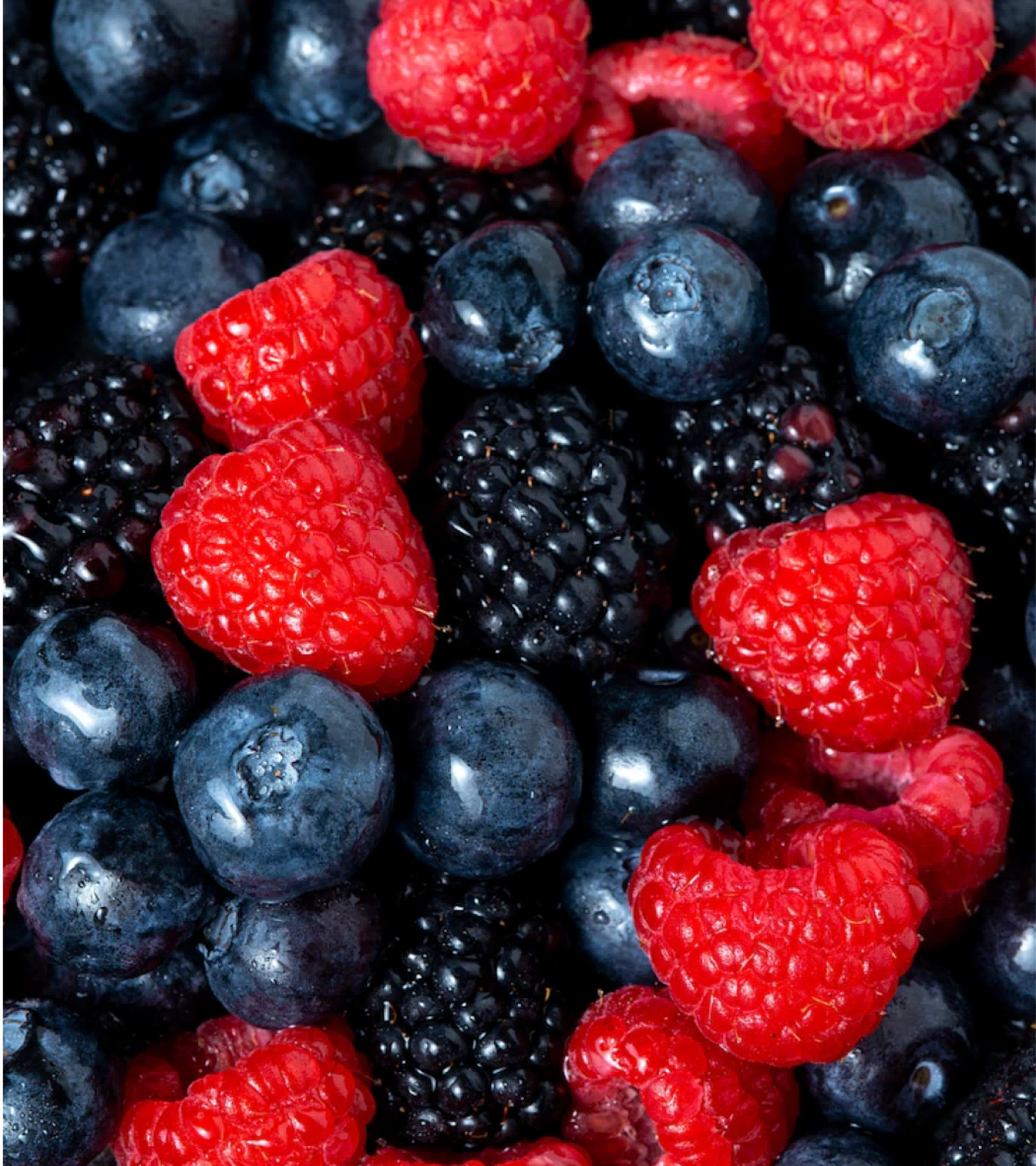 «Клубнично» | разработка иллюстративного логотипа — Изображение №7 — Брендинг, Иллюстрация на Dprofile