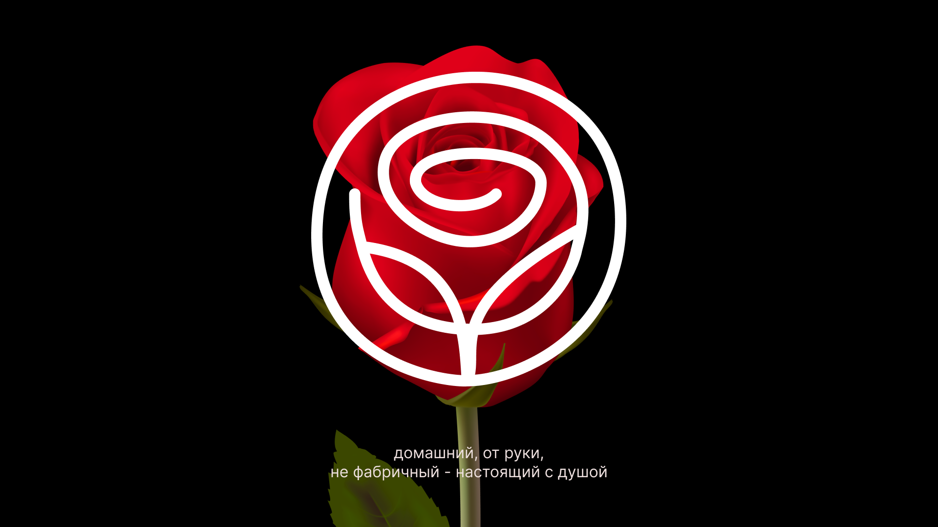 Портфолио (август 2023) — Изображение №50 — Брендинг, Маркетинг на Dprofile