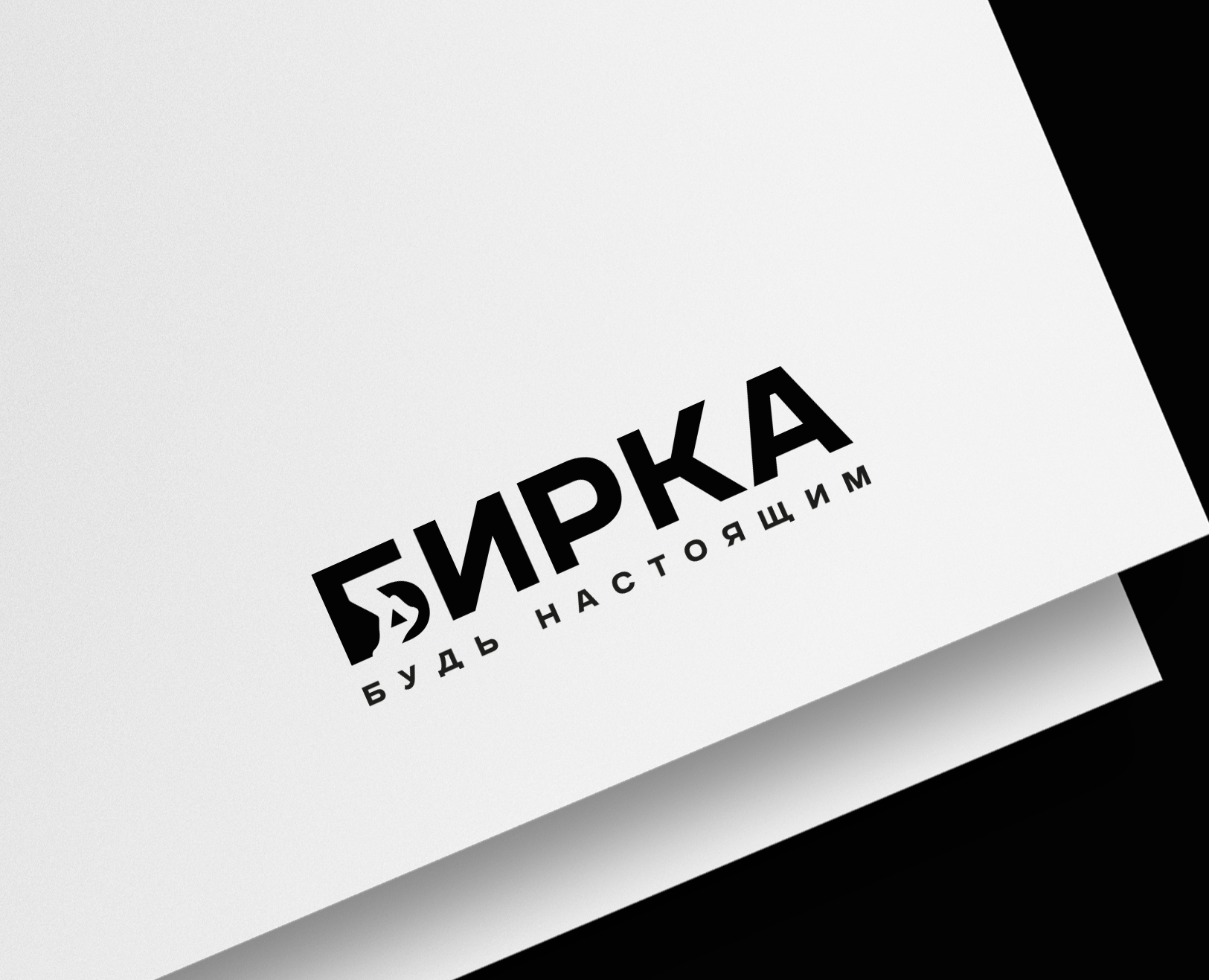 Брендинг | брендбук | фирменный стиль | BIRKA на Dprofile