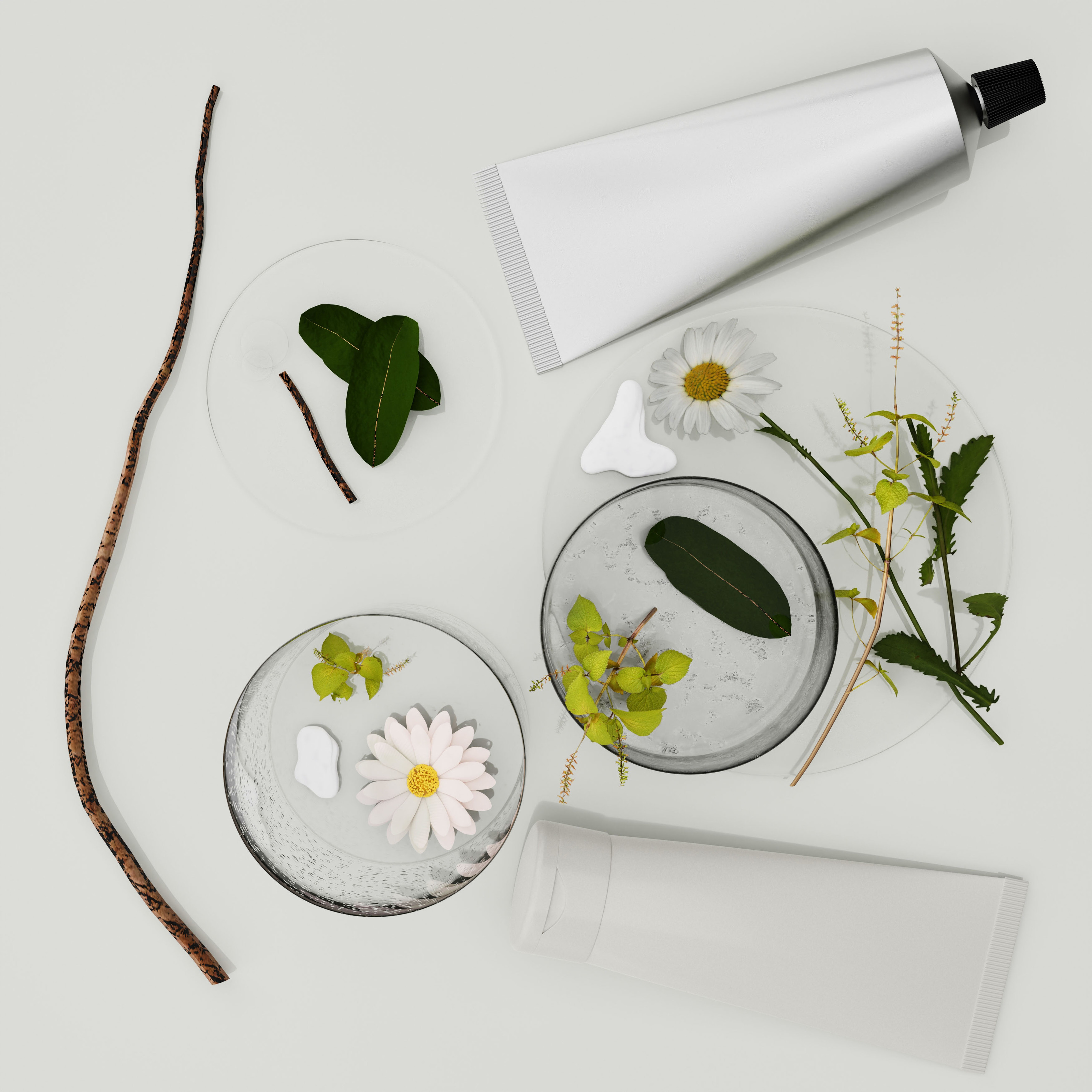BOTANICAL AESTHETIC — Изображение №5 — Брендинг, 3D на Dprofile