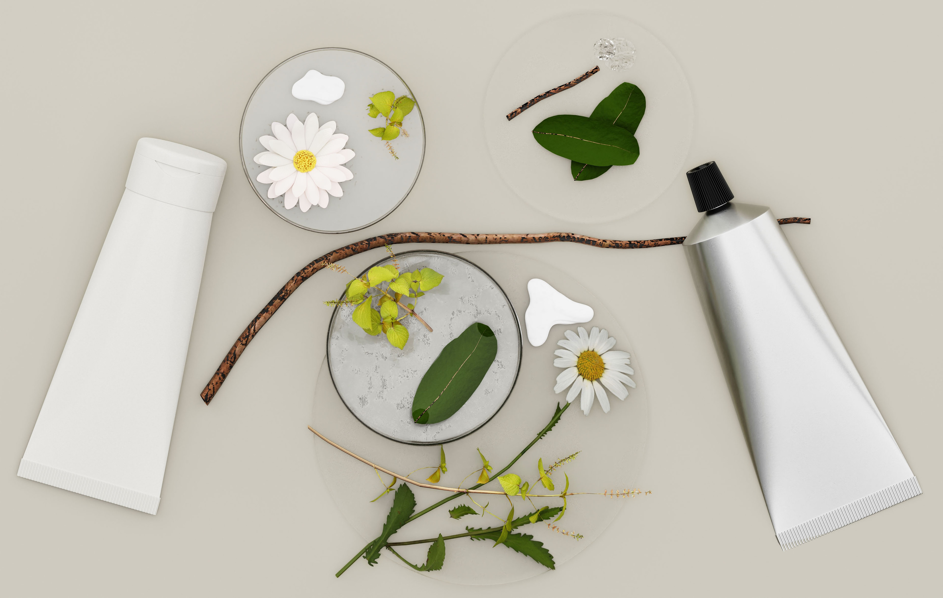 BOTANICAL AESTHETIC — Изображение №7 — Брендинг, 3D на Dprofile