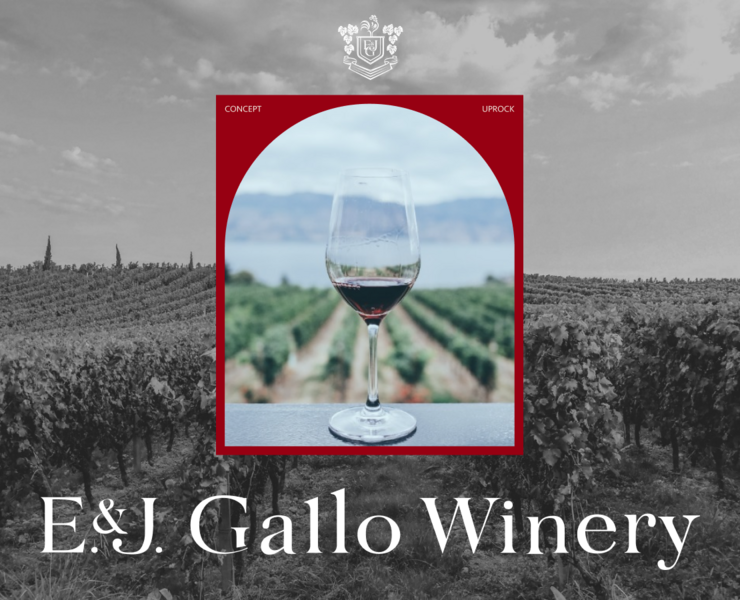 Gallo Corporate Site — Интерфейсы на Dprofile