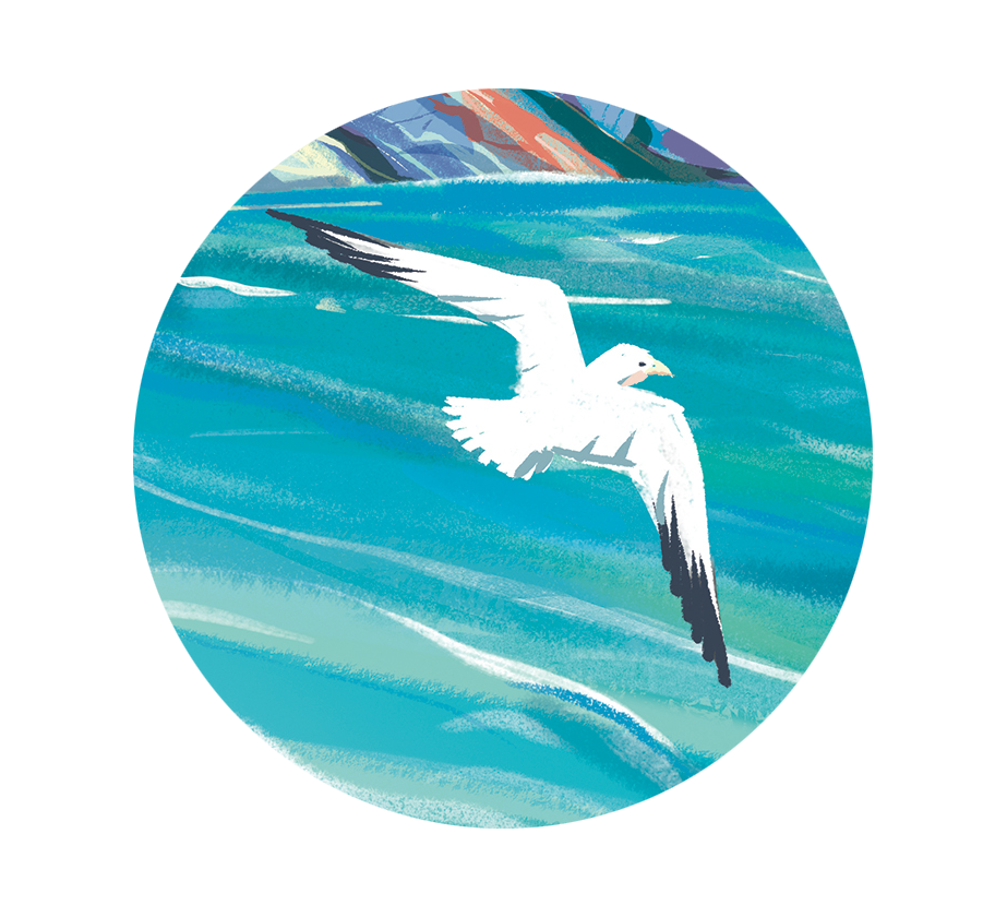 Весенняя коллекция скетчбуков для издательского дома Феникс+ — Изображение №7 — Иллюстрация, Графика на Dprofile