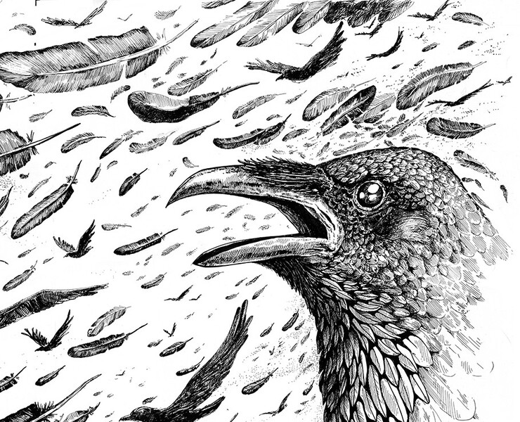 Ворон. Графический лист и коллекция на его основе — Иллюстрация, Графика на Dprofile